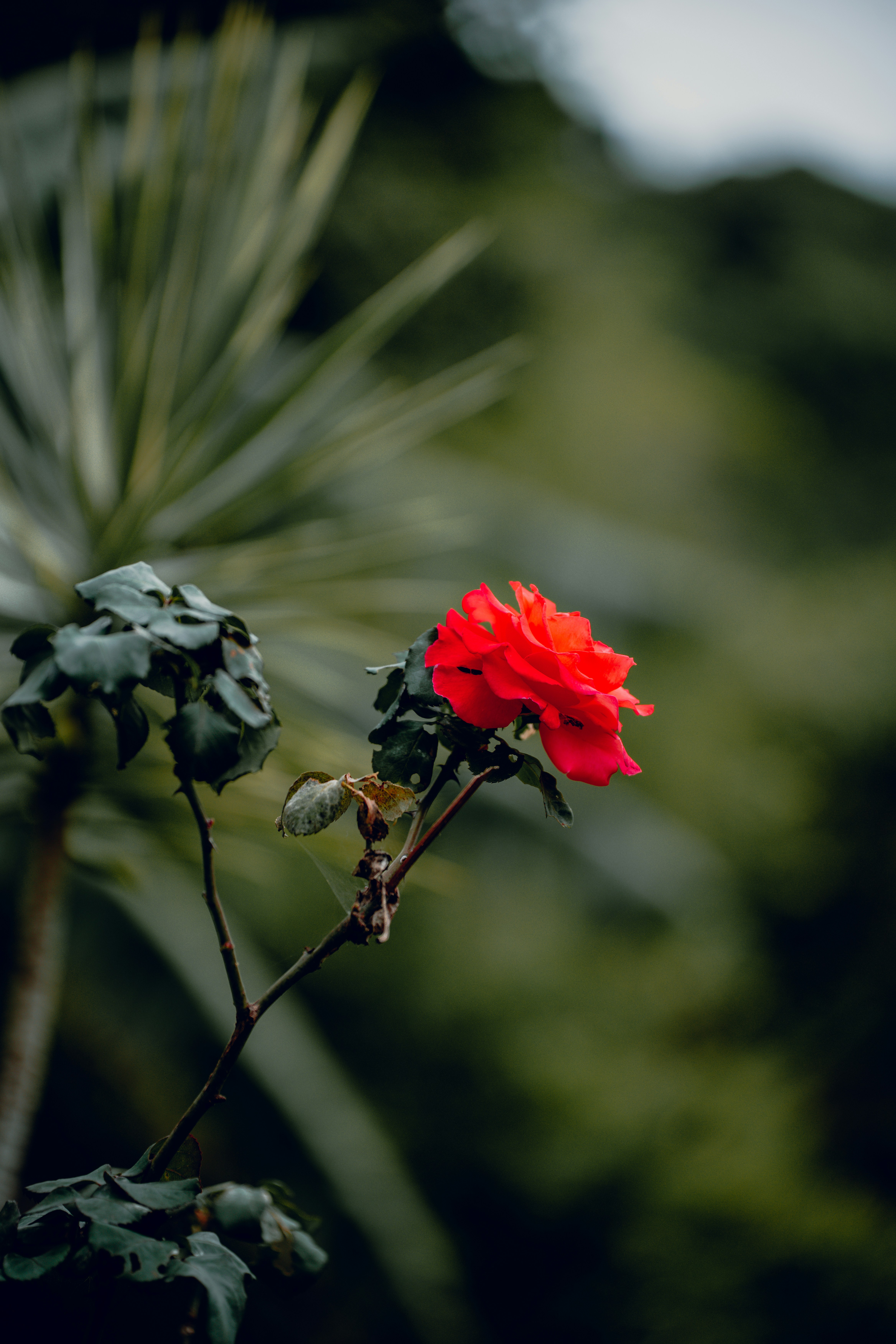 Photo by elianna_gill03