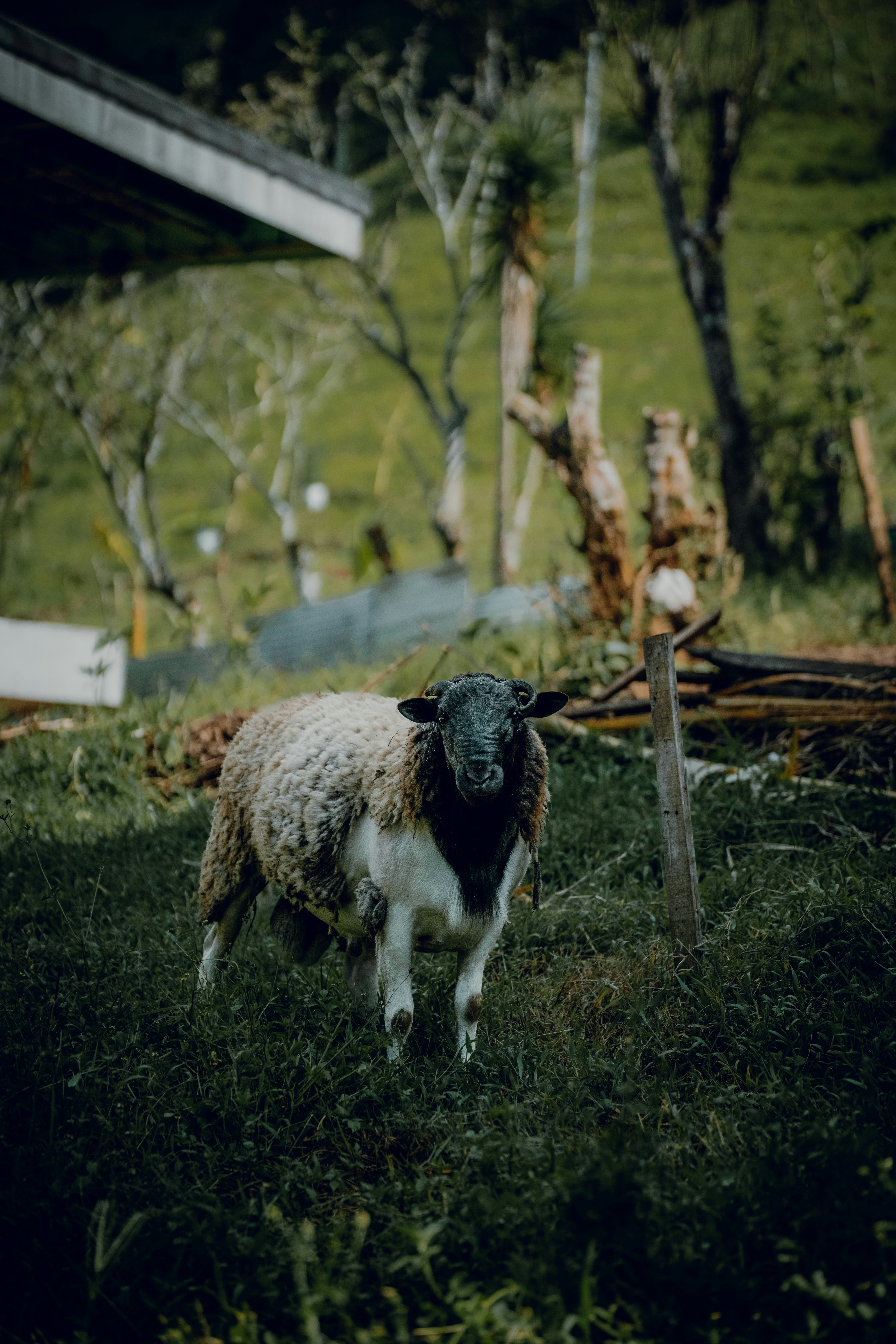 Photo by elianna_gill03