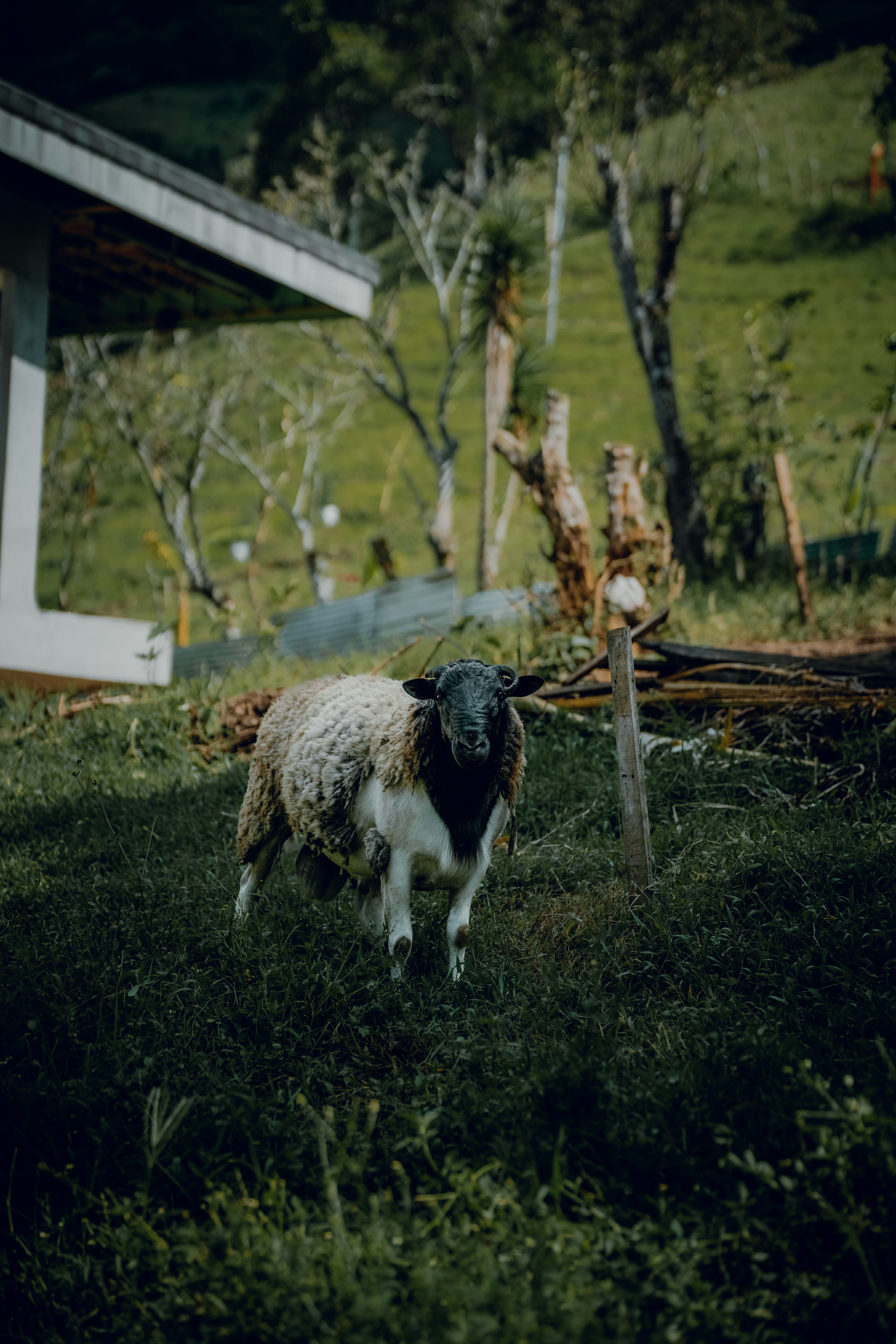 Photo by elianna_gill03