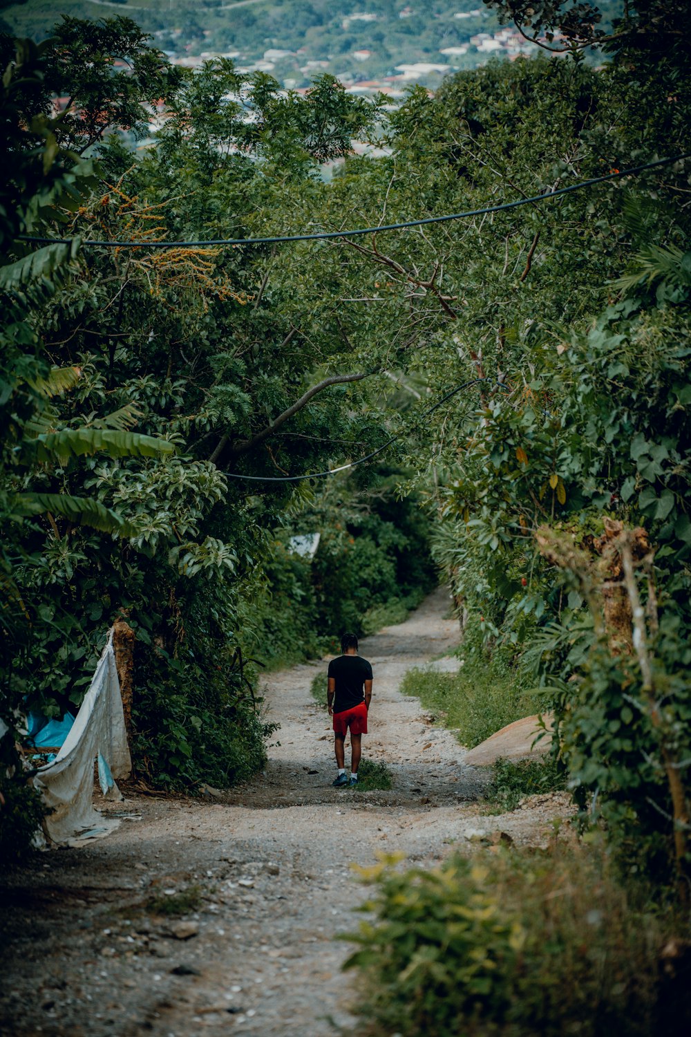 a person walking down a dirt road surrounded by trees