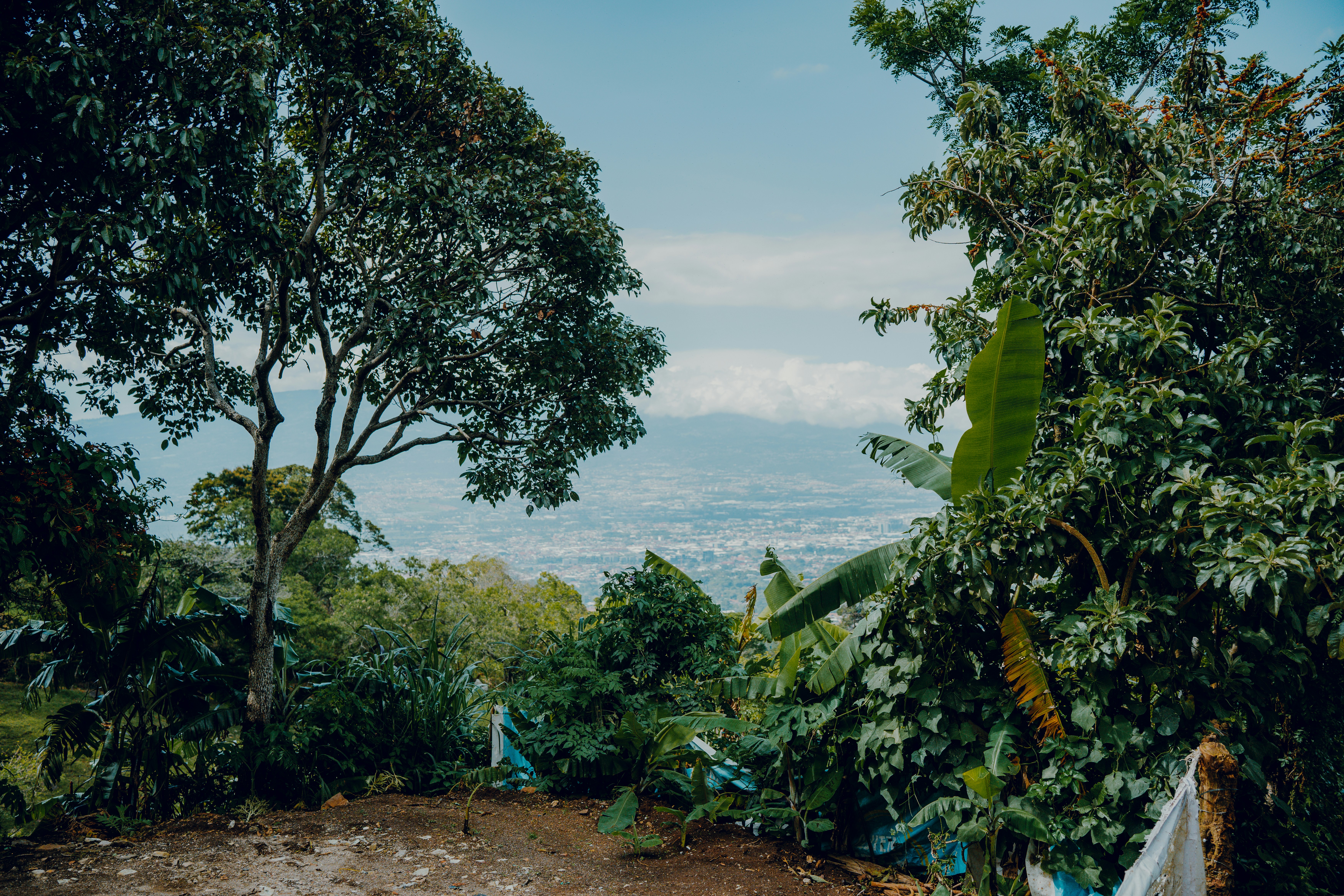 Photo by elianna_gill03