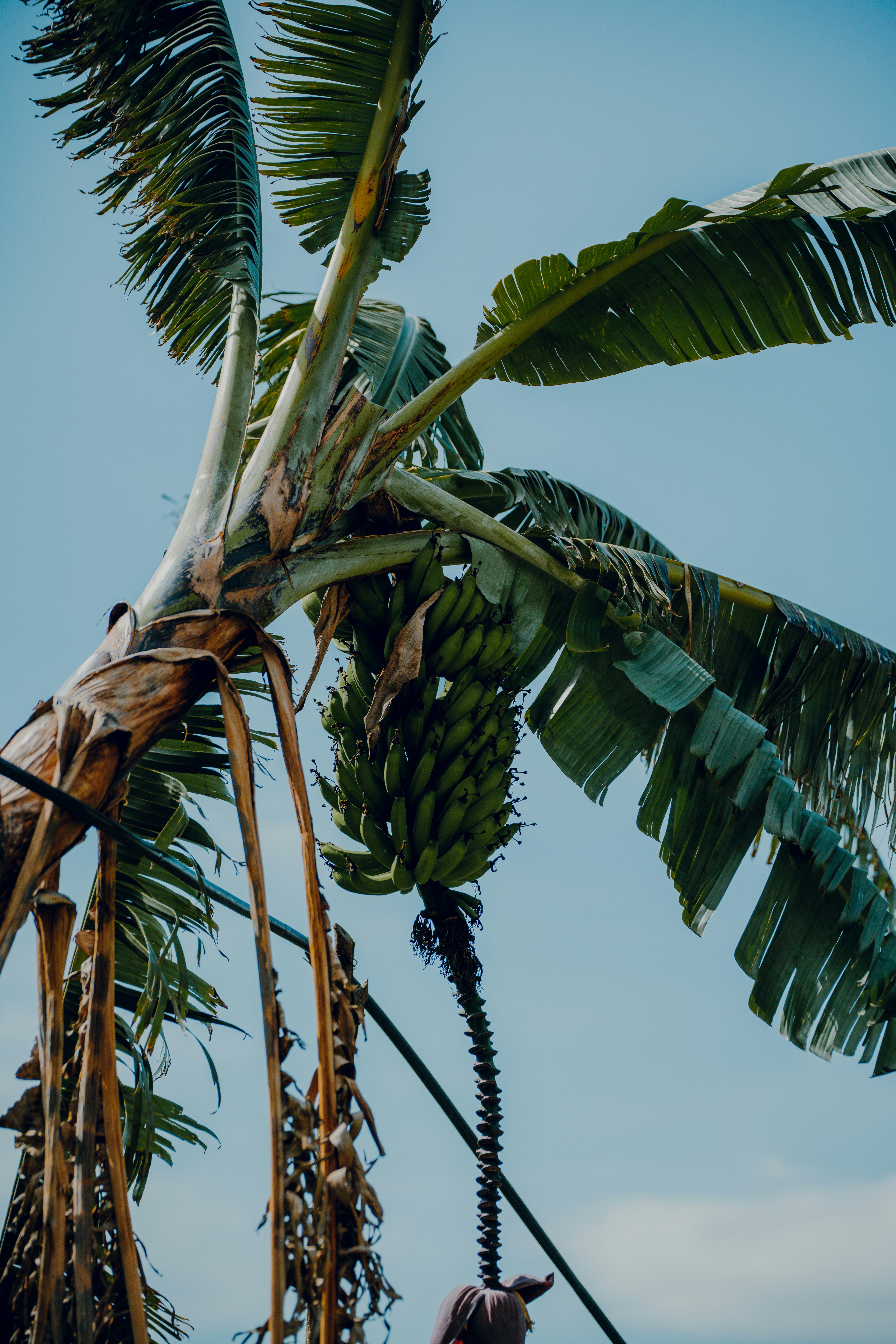 Photo by elianna_gill03