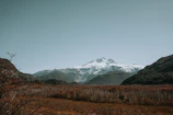 A mystical background featuring mountains and a clear sky behind The Emperor card.