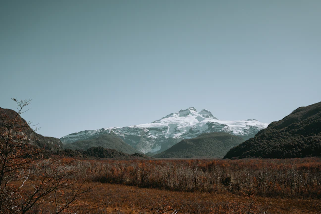 A mystical background featuring mountains and a clear sky behind The Emperor card.