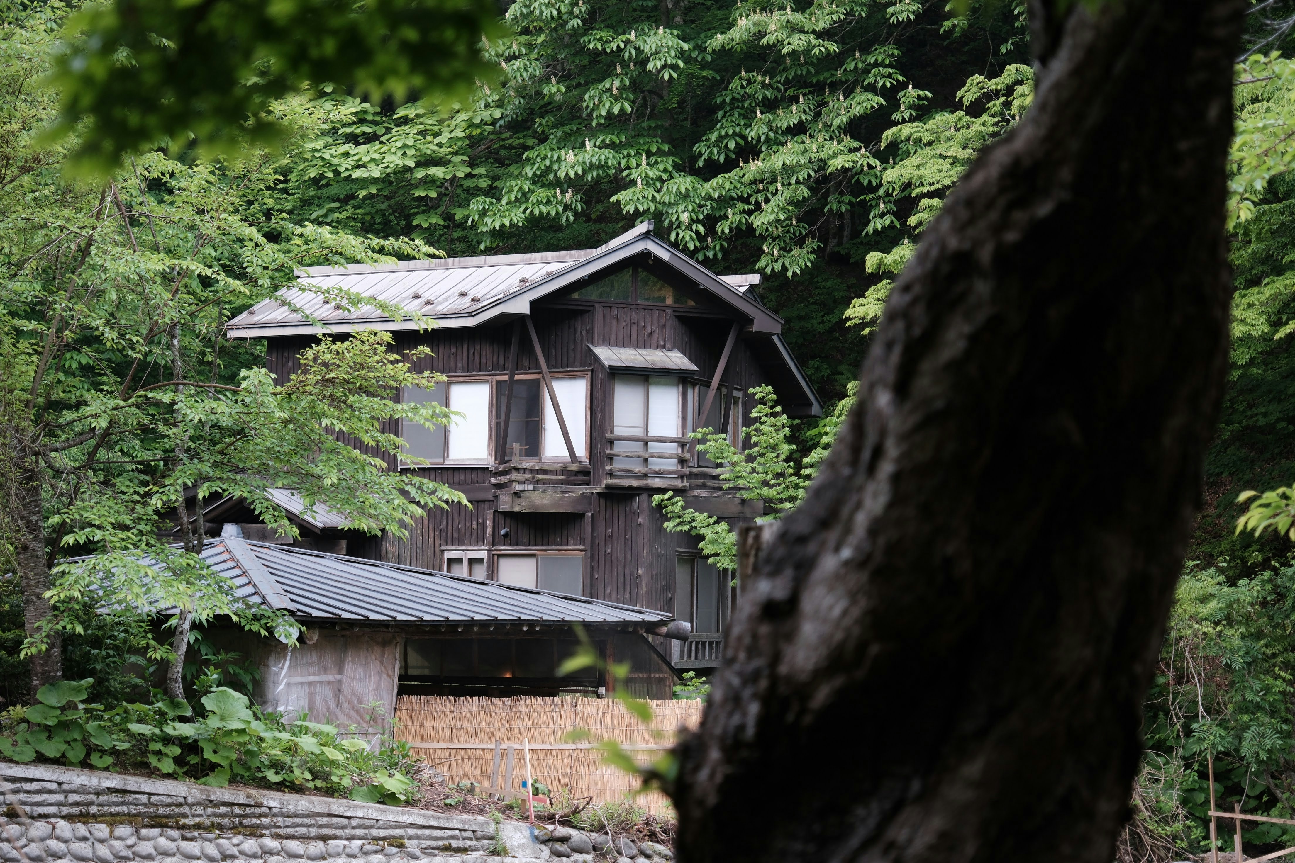 Một mẹo khác là hãy đến vùng nông thôn trong Tuần lễ Vàng.