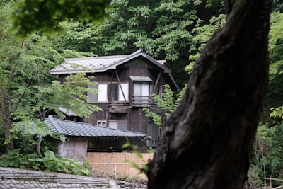 An old wooden house is nestled among lush, green trees. The house has a traditional design with visible wooden beams and a dark, weathered exterior. The surrounding forest is dense, with a variety of leafy green foliage and a tree trunk partially obscuring the view in the foreground. A stone wall outlines the base of the house, and the roof appears to be made of metal.