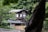 An old wooden house is nestled among lush, green trees. The house has a traditional design with visible wooden beams and a dark, weathered exterior. The surrounding forest is dense, with a variety of leafy green foliage and a tree trunk partially obscuring the view in the foreground. A stone wall outlines the base of the house, and the roof appears to be made of metal.