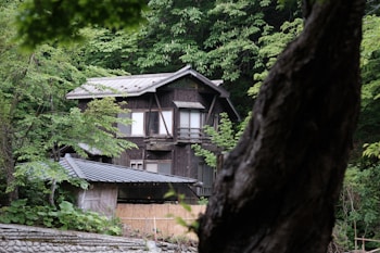 An old wooden house is nestled among lush, green trees. The house has a traditional design with visible wooden beams and a dark, weathered exterior. The surrounding forest is dense, with a variety of leafy green foliage and a tree trunk partially obscuring the view in the foreground. A stone wall outlines the base of the house, and the roof appears to be made of metal.