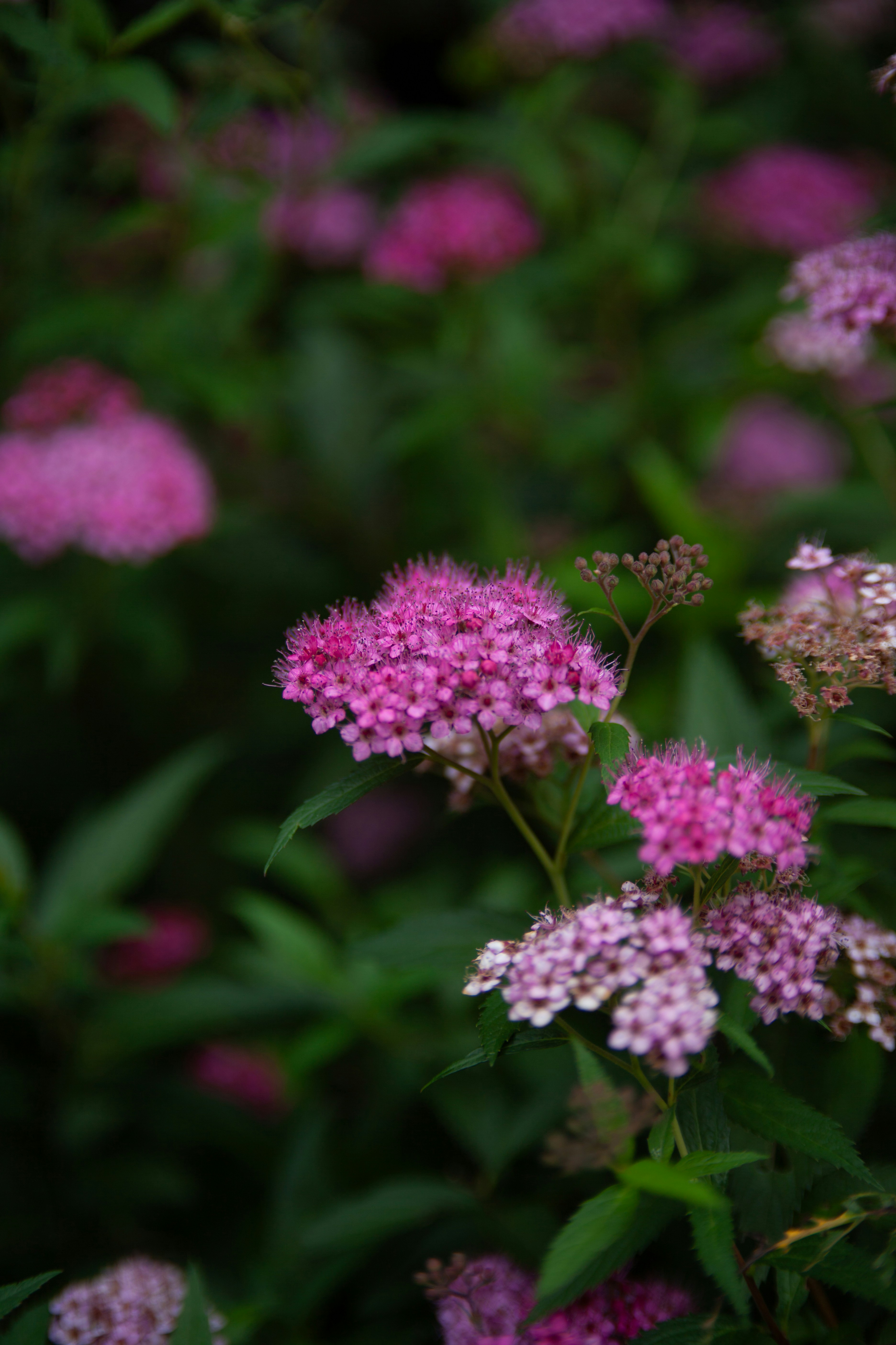 Photo by takatsuchida