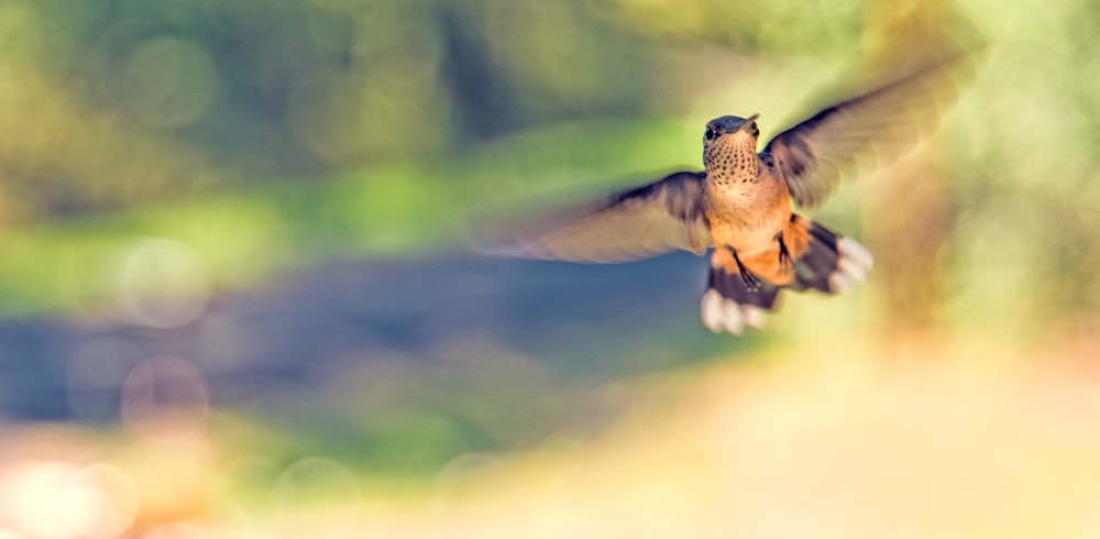 a small bird flying through a lush green forest