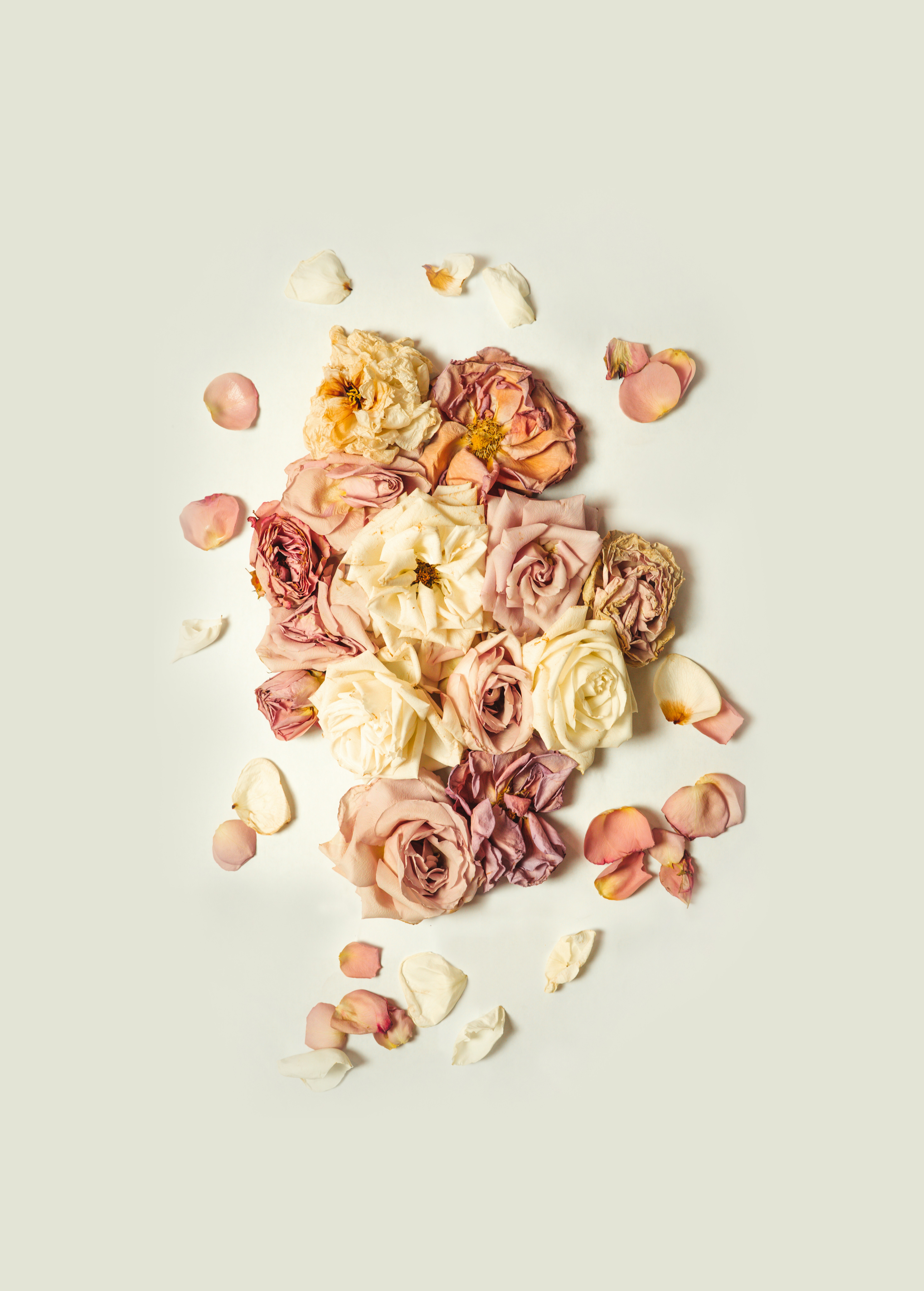 Photo by iprefermike