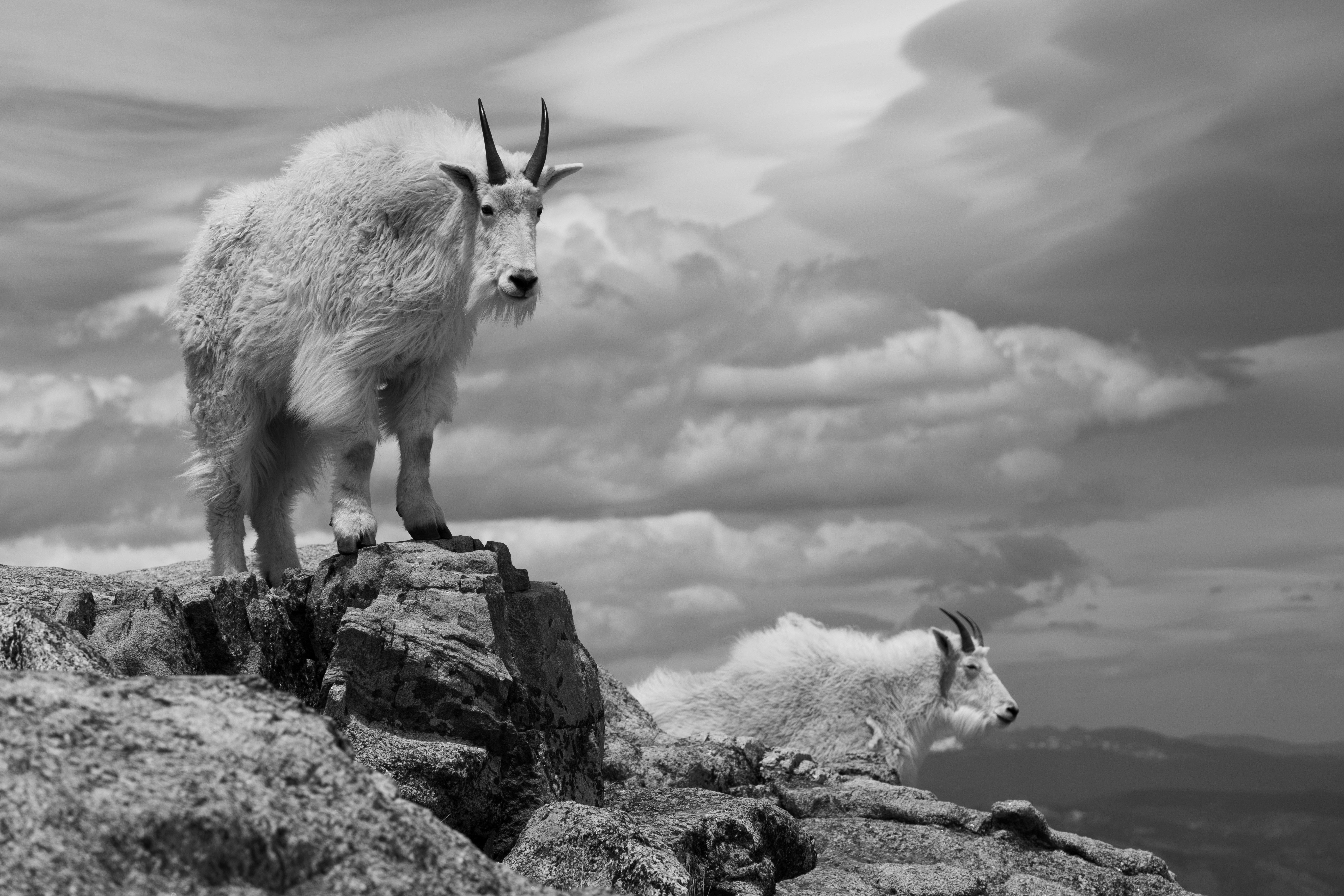 photo-1687309319707-