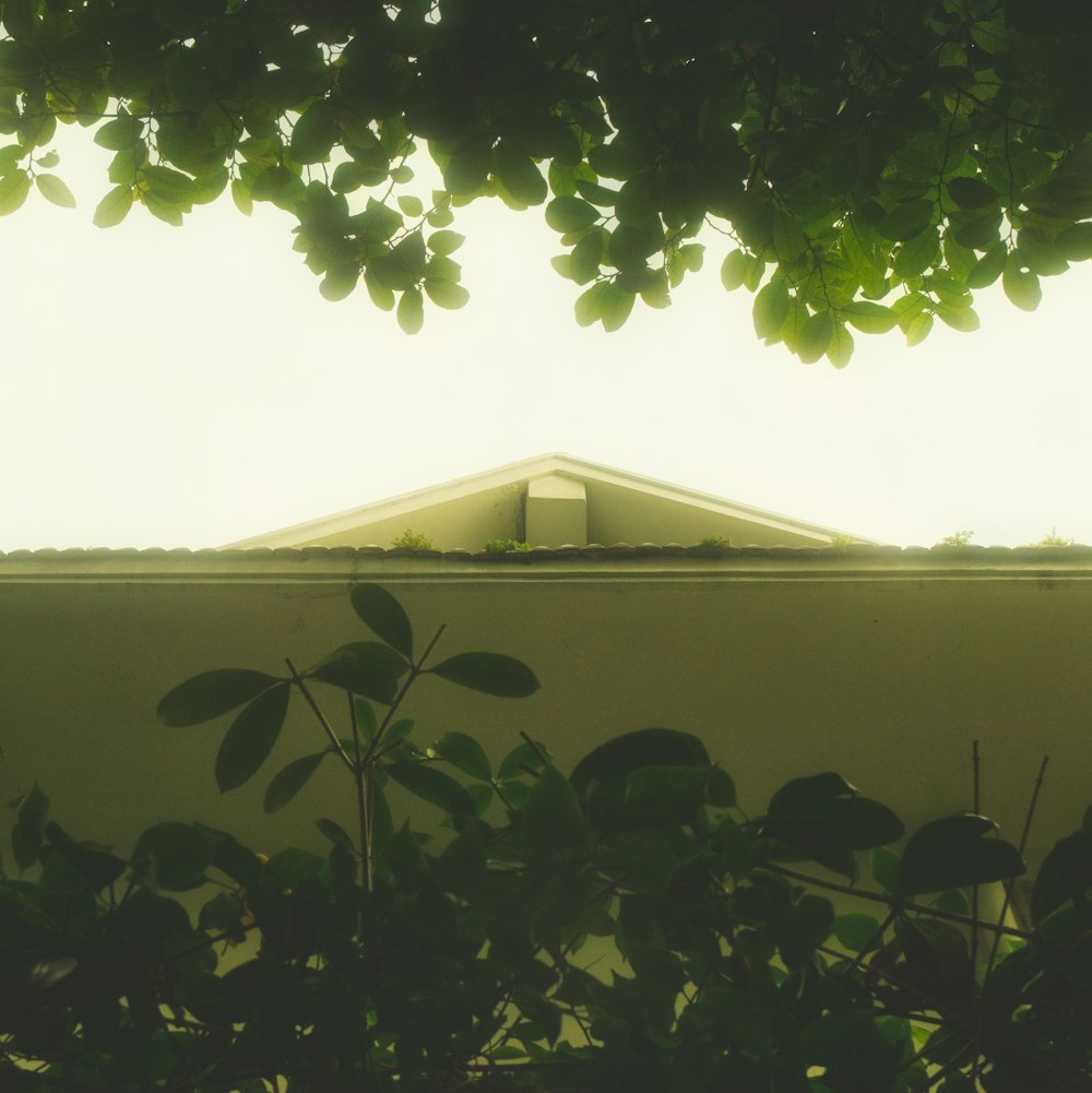 a building with a roof and a tree in front of it