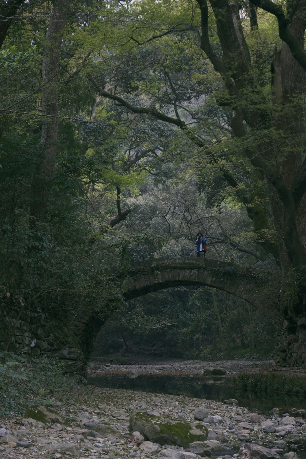 a person standing on a bridge over a river