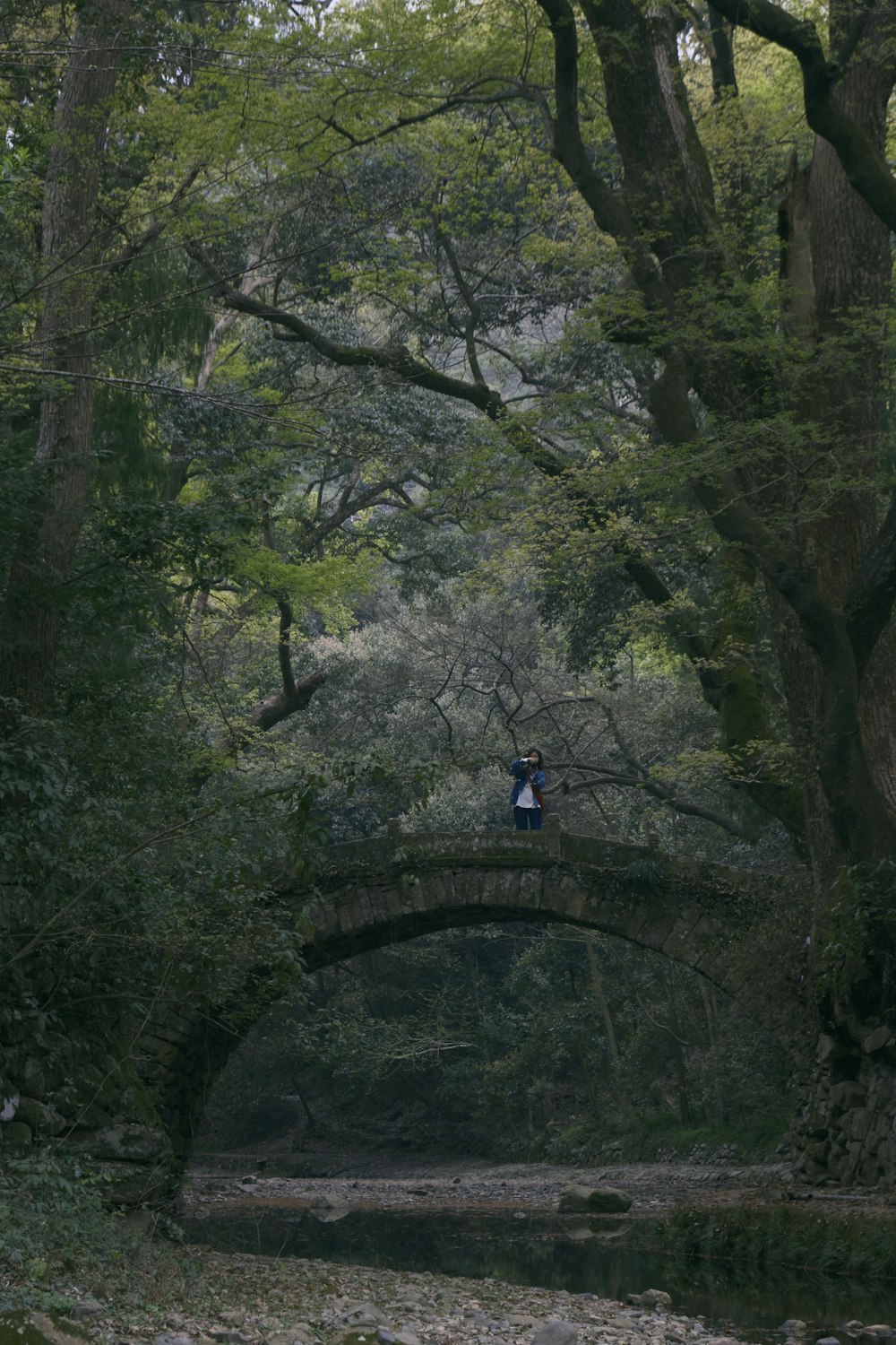 a person standing on a bridge over a river