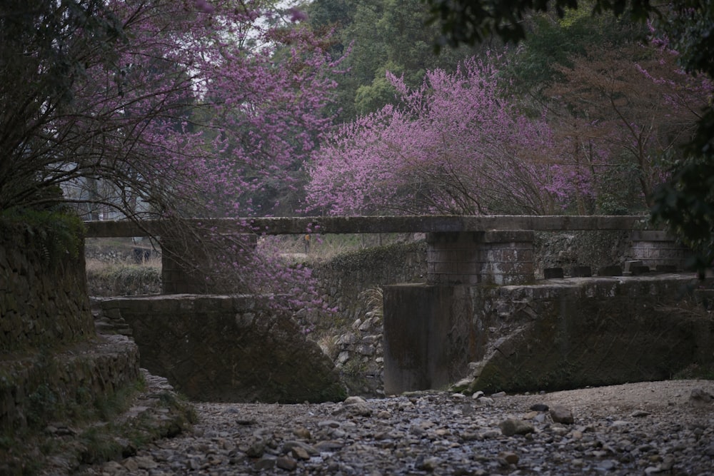 a stone bridge surrounded by trees and rocks