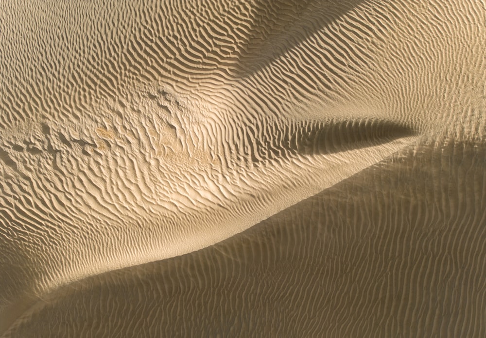 une dune de sable avec un oiseau qui la survole