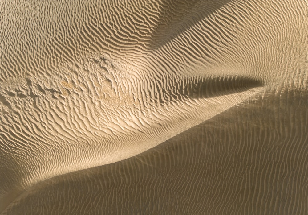 a sand dune with a bird flying over it