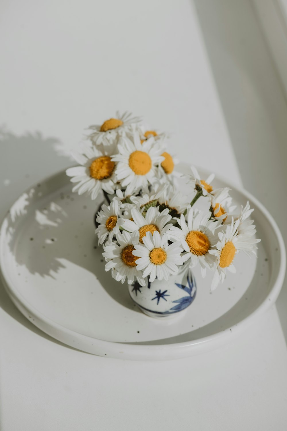 a blue and white plate with a bunch of daisies in it