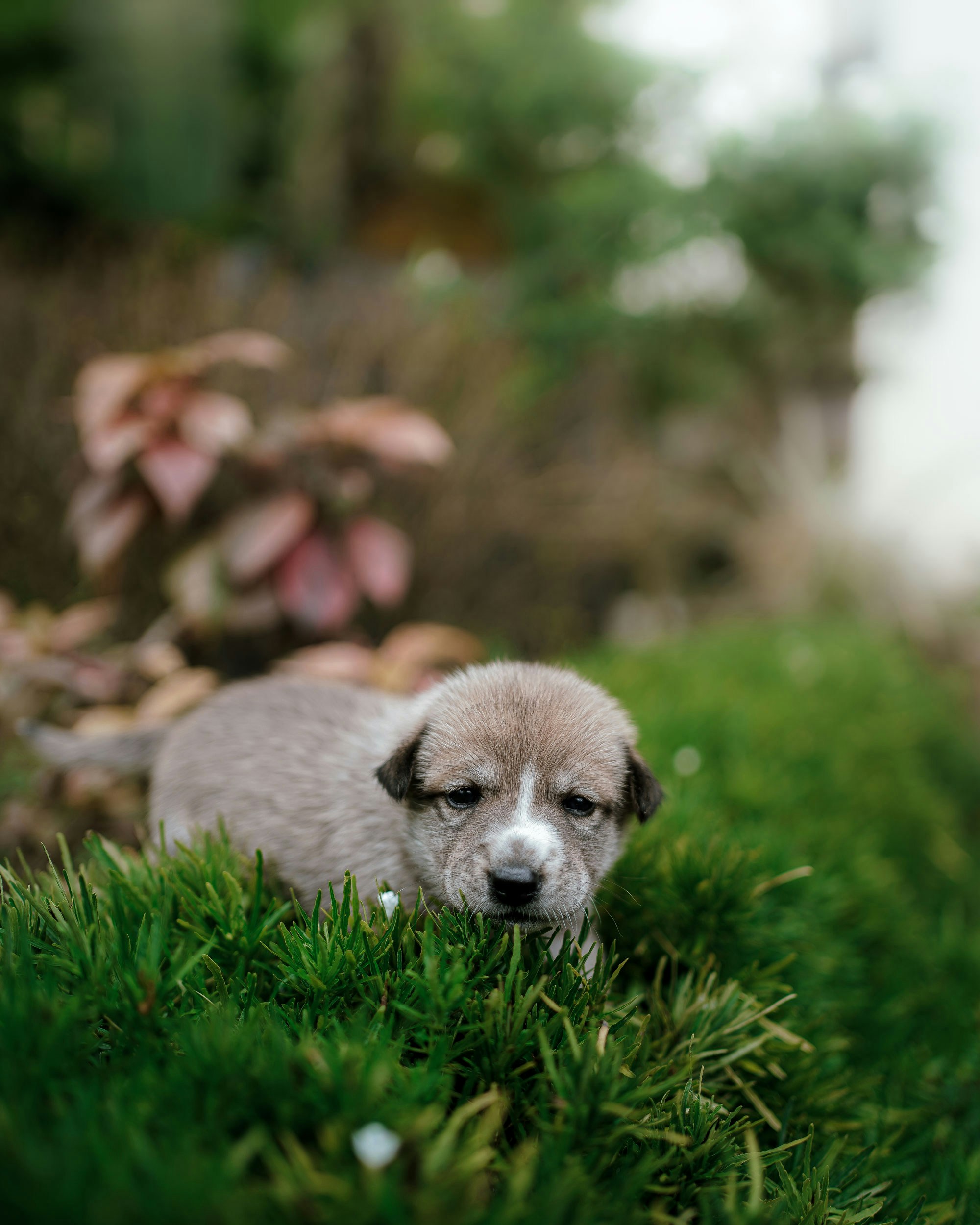 Photo by akashudayan
