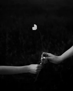 A pair of intertwined hands holding a delicate flower, set against a backdrop of enchanted woods.