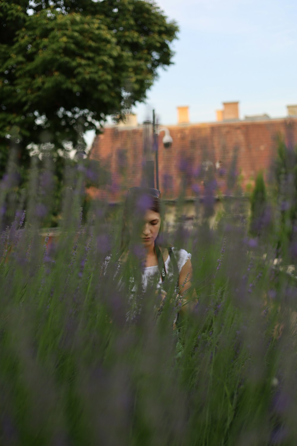 a woman standing in a field of purple flowers