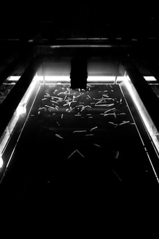 A monochrome image displaying a group of small fish swimming in a tank. The setting is dimly lit, with the tank illuminated by a bright light from above, emphasizing the contrast between the bright water and the dark surroundings.