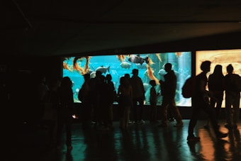 A group of silhouetted people stand in front of an illuminated aquarium tank, observing various sea creatures swimming within a large, blue-lit enclosure. The ambiance is dark, with the primary light source coming from the tank, casting shadows that accentuate the figures of the observers.