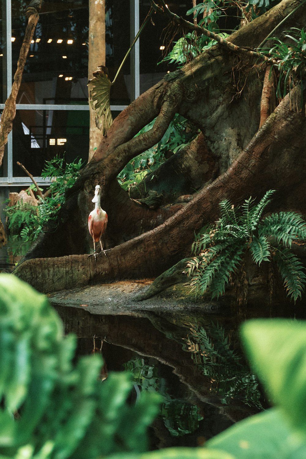 a bird standing on a log in a forest