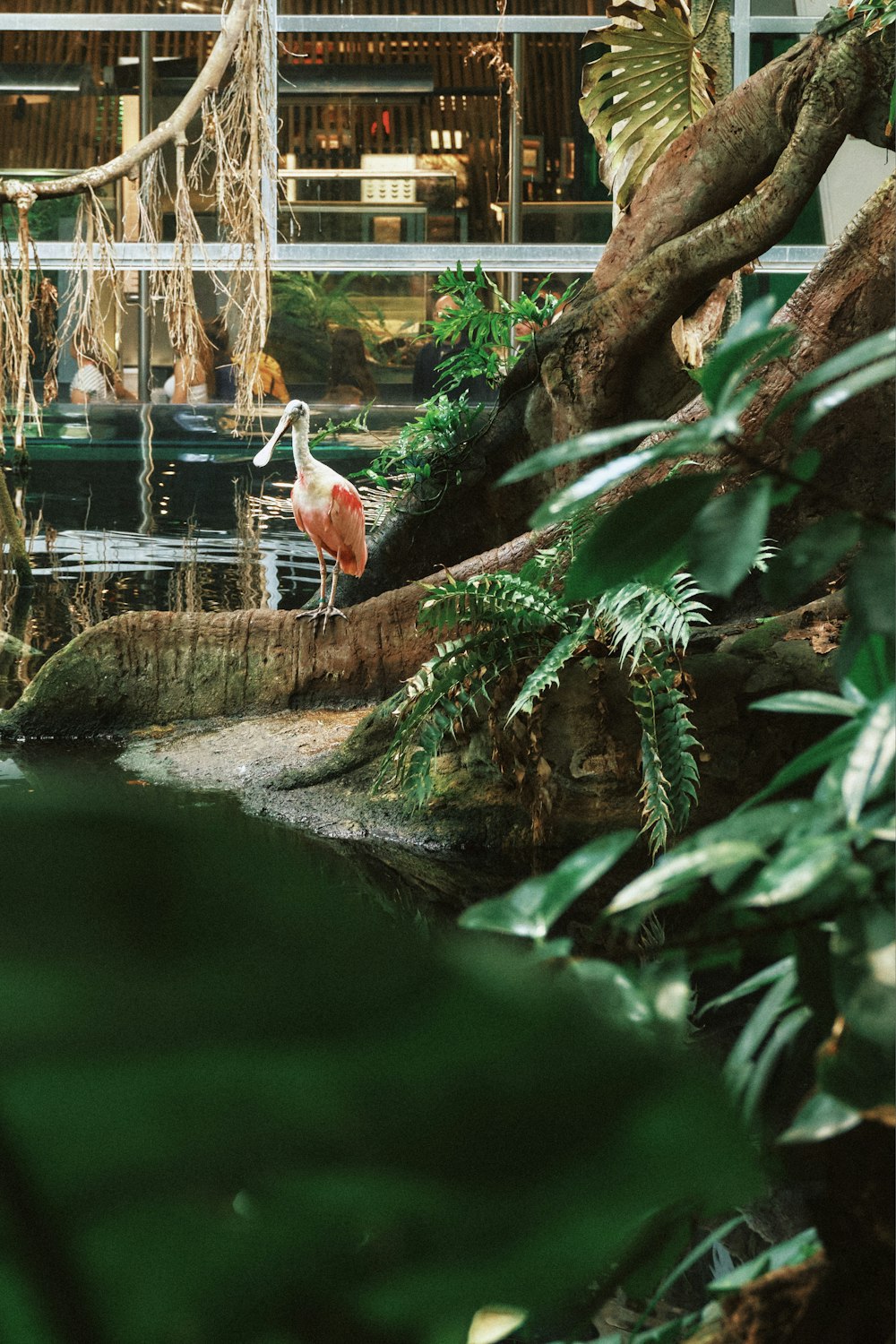 a flamingo standing in the middle of a lush green forest