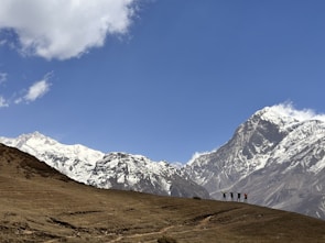 A group of people stand with raised arms on a grassy hill in front of towering, snow-capped mountains under a clear blue sky with a few fluffy clouds.