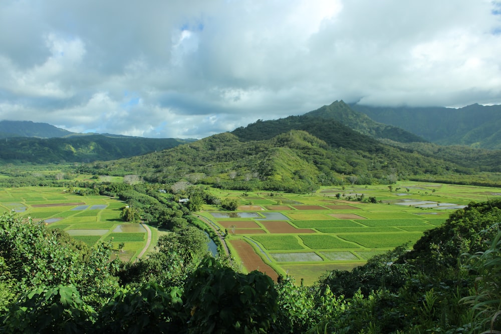 a lush green valley surrounded by mountains