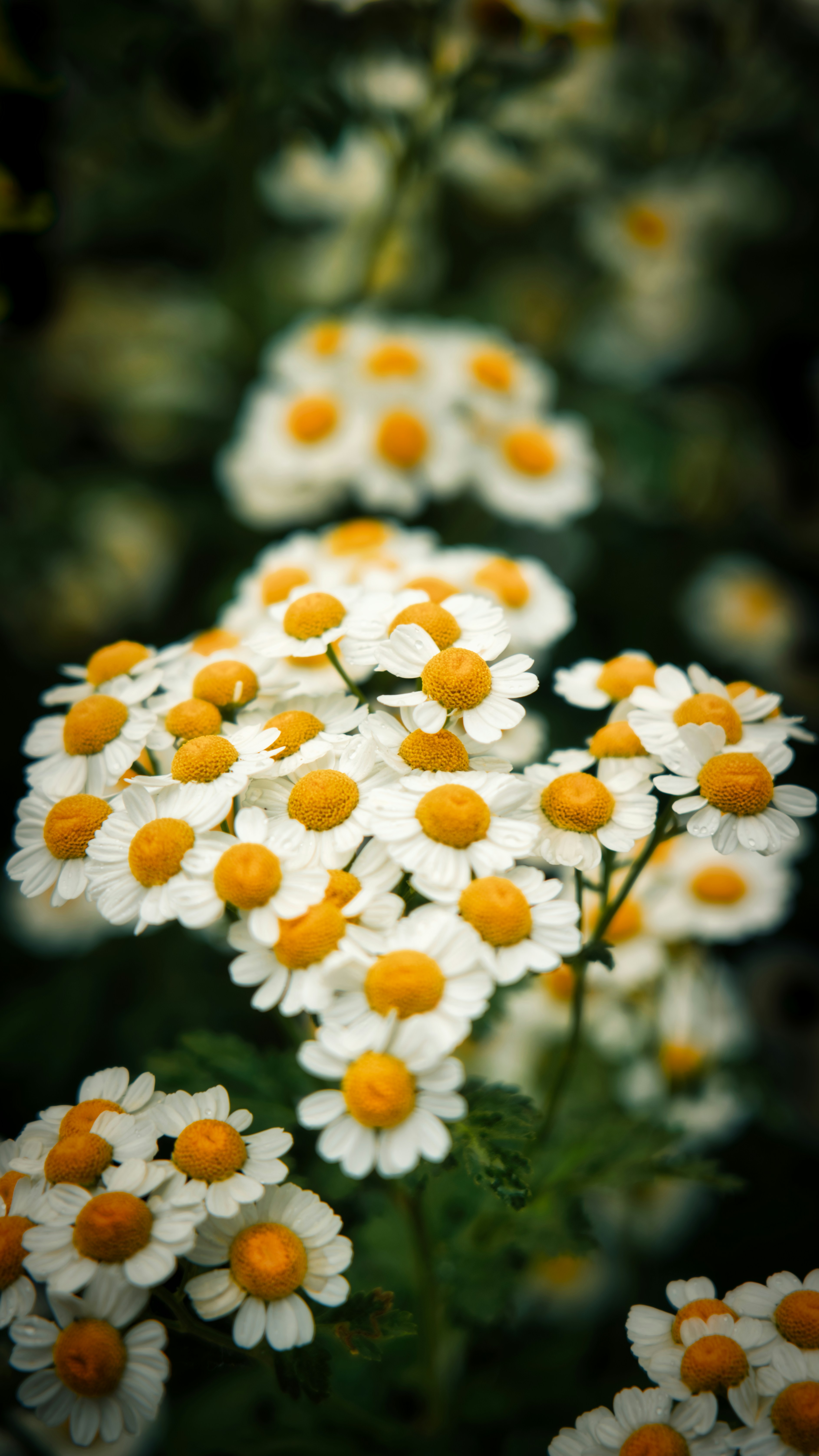 Photo by gen0451021