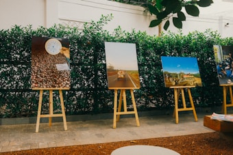 Several photographs mounted on wooden easels are displayed outdoors along a lush green hedge. The first photo appears to show a collection of small round objects with a white gauge on top. The second image captures a scene of a road with what seems to be a vehicle in the distance. The third picture displays a rustic vehicle, possibly a tractor, amidst a rural landscape under a clear blue sky. The final image showcases people gathered around an activity or event.