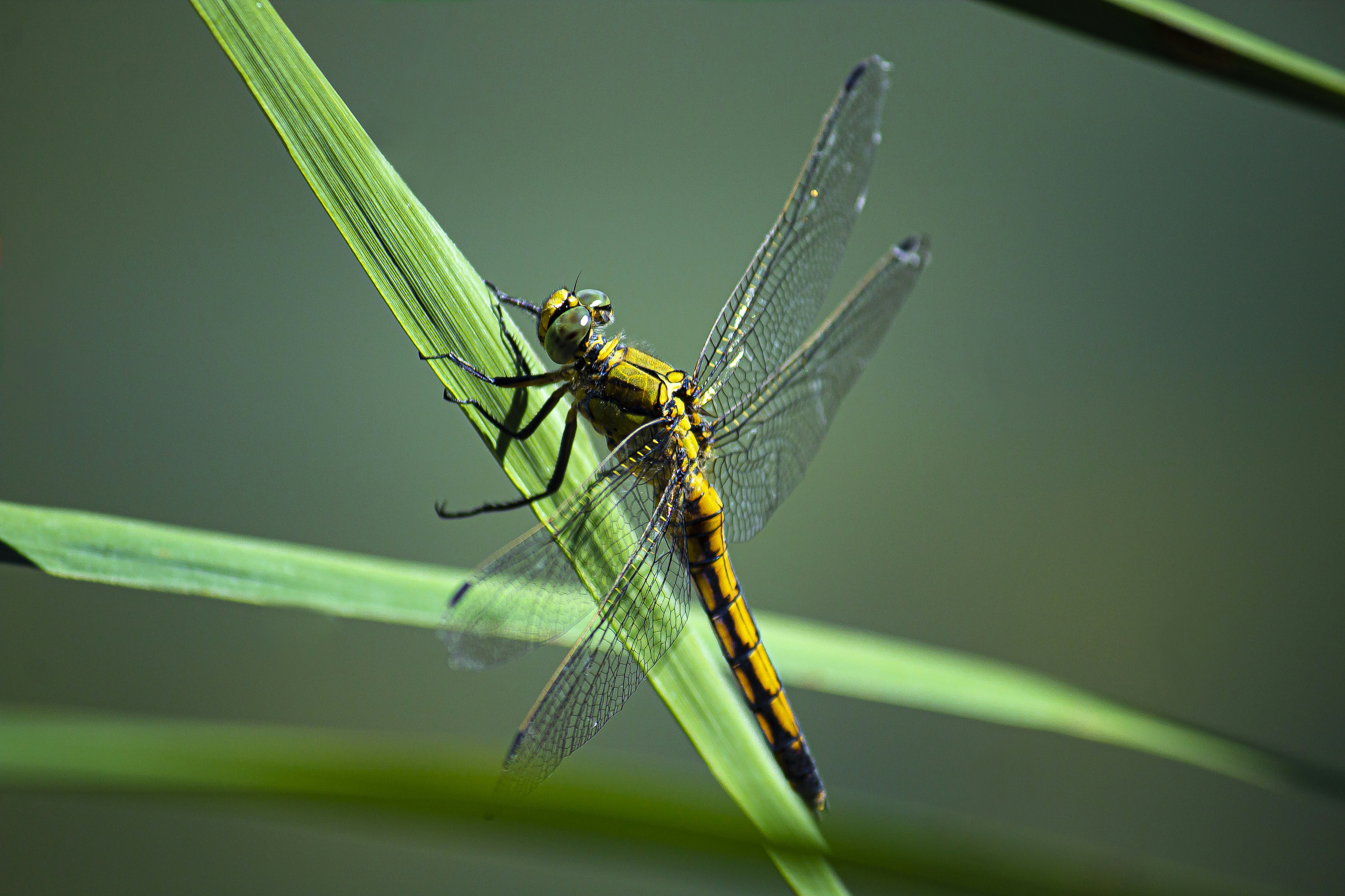 Photo by micheledp93