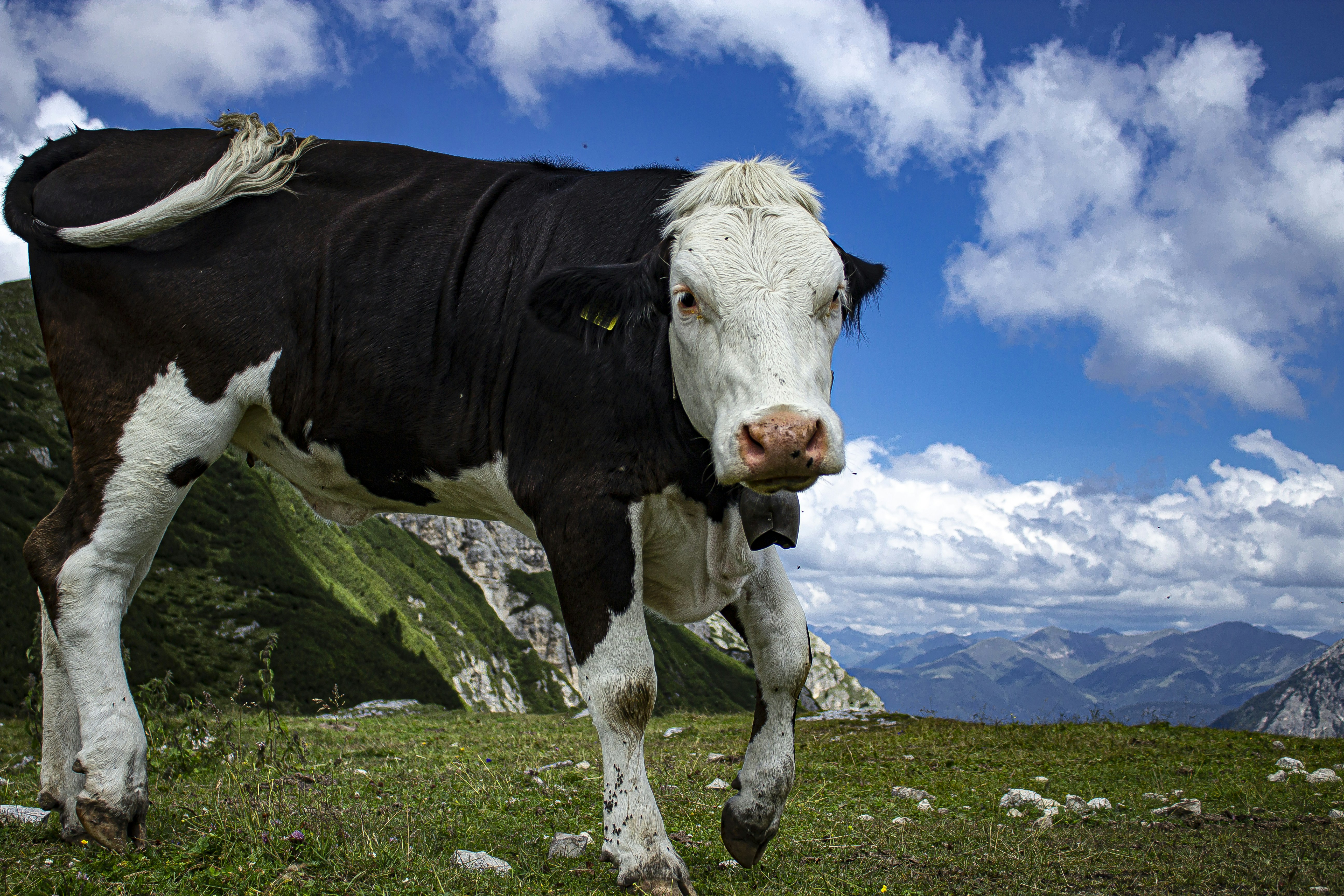 Photo by micheledp93