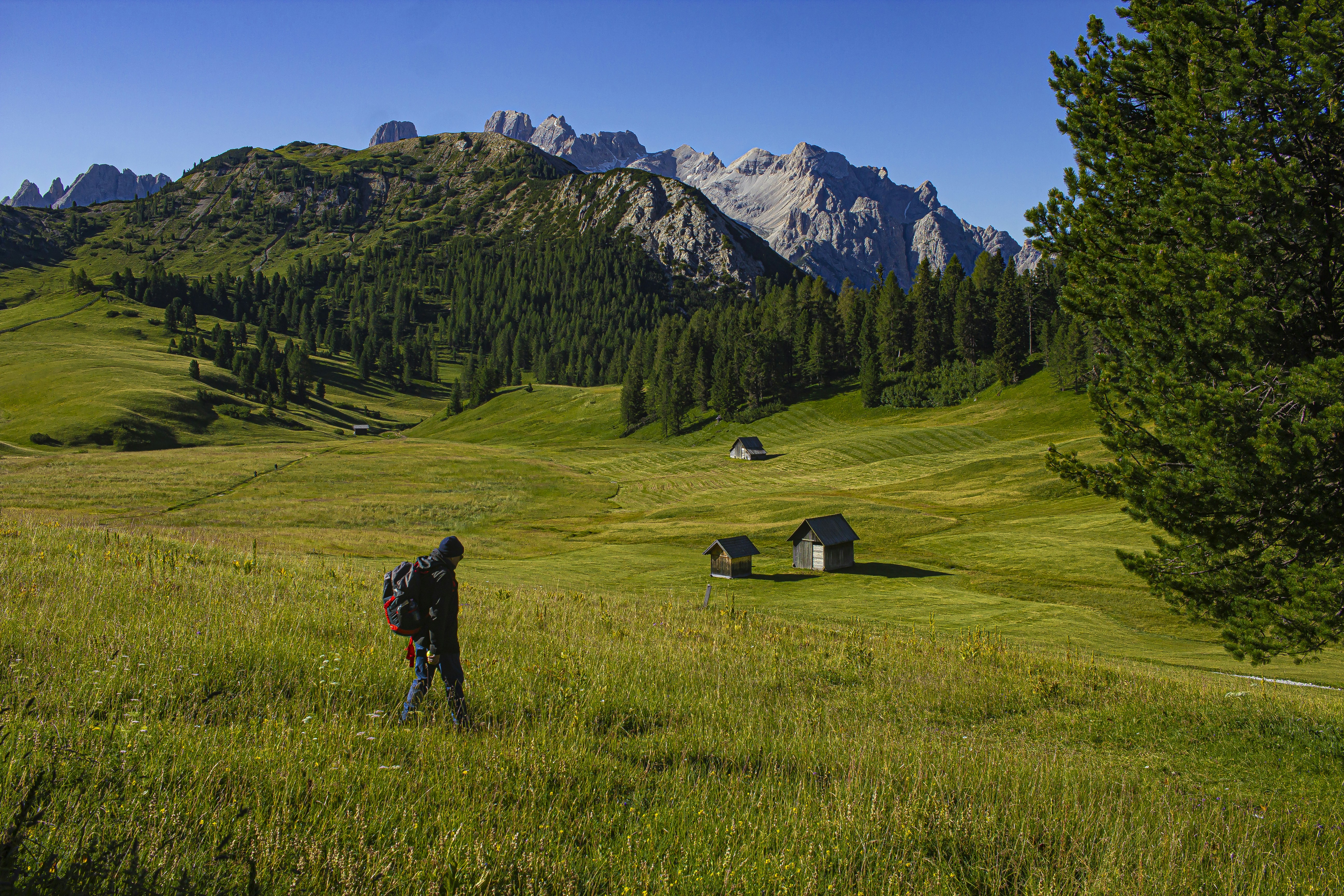 a person standing in a field with mountains in the background