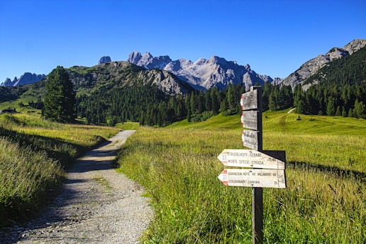 a sign pointing in different directions on a trail