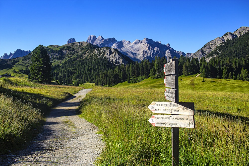 a sign pointing in different directions on a trail