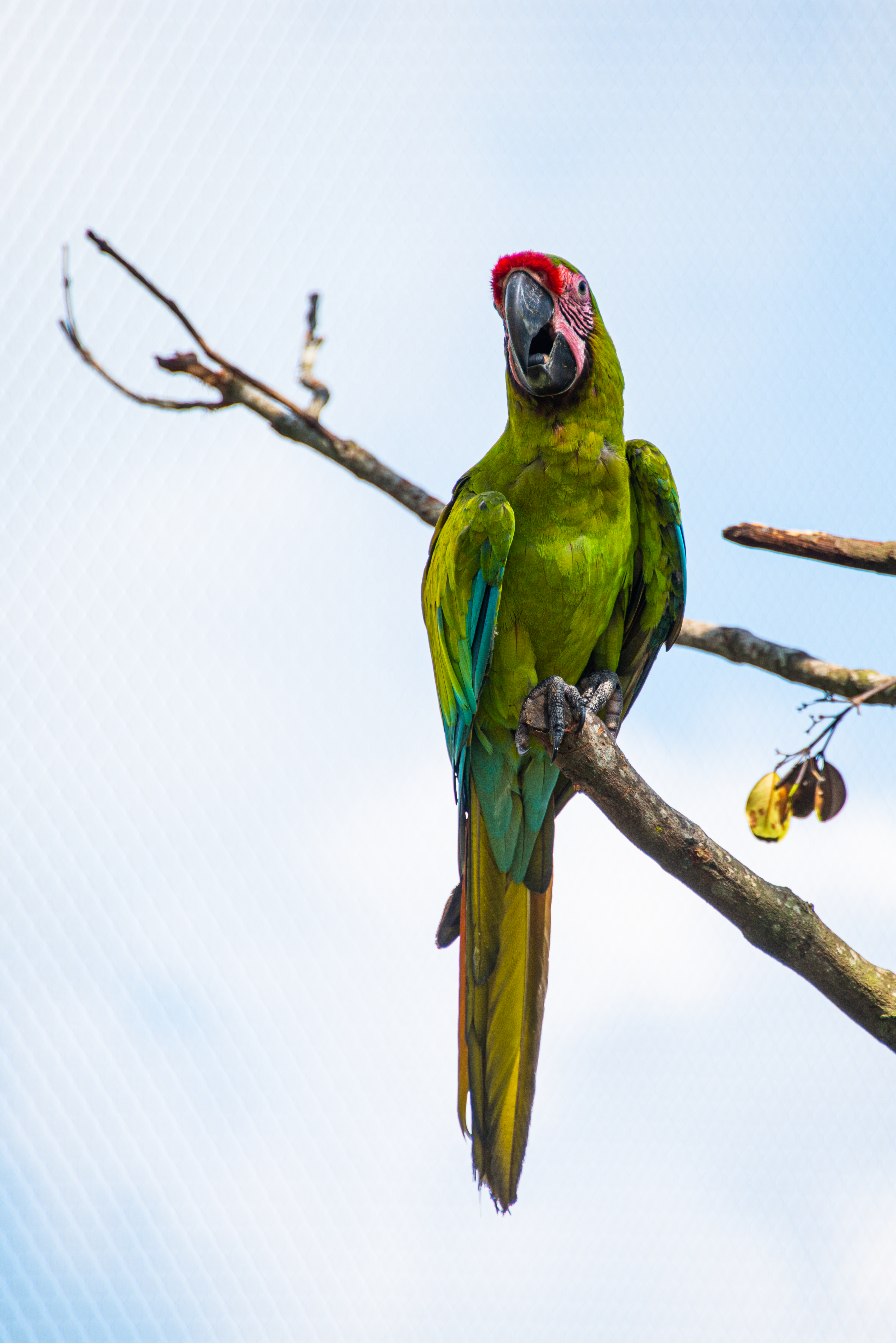 Photo by smithclukas