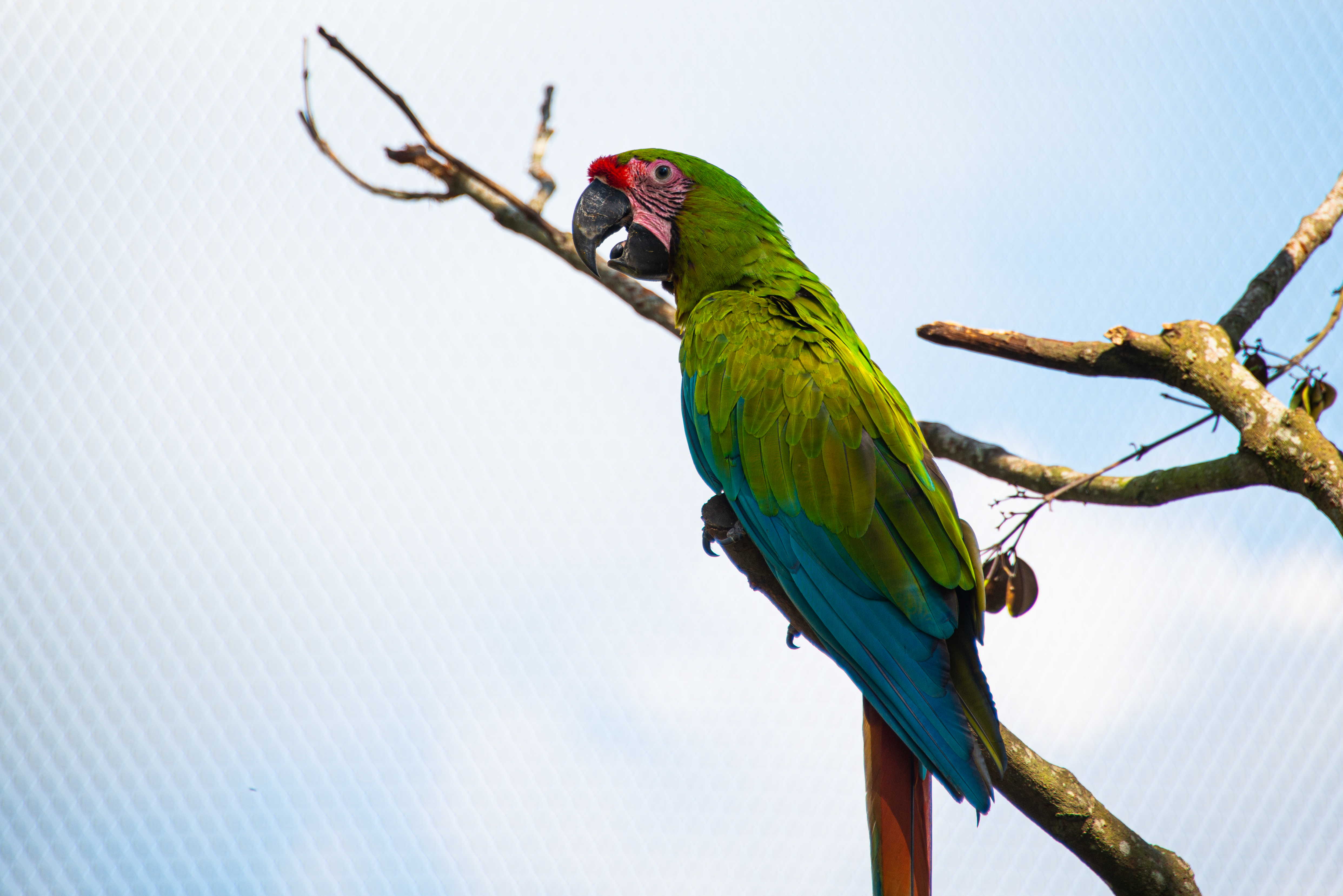 Photo by smithclukas