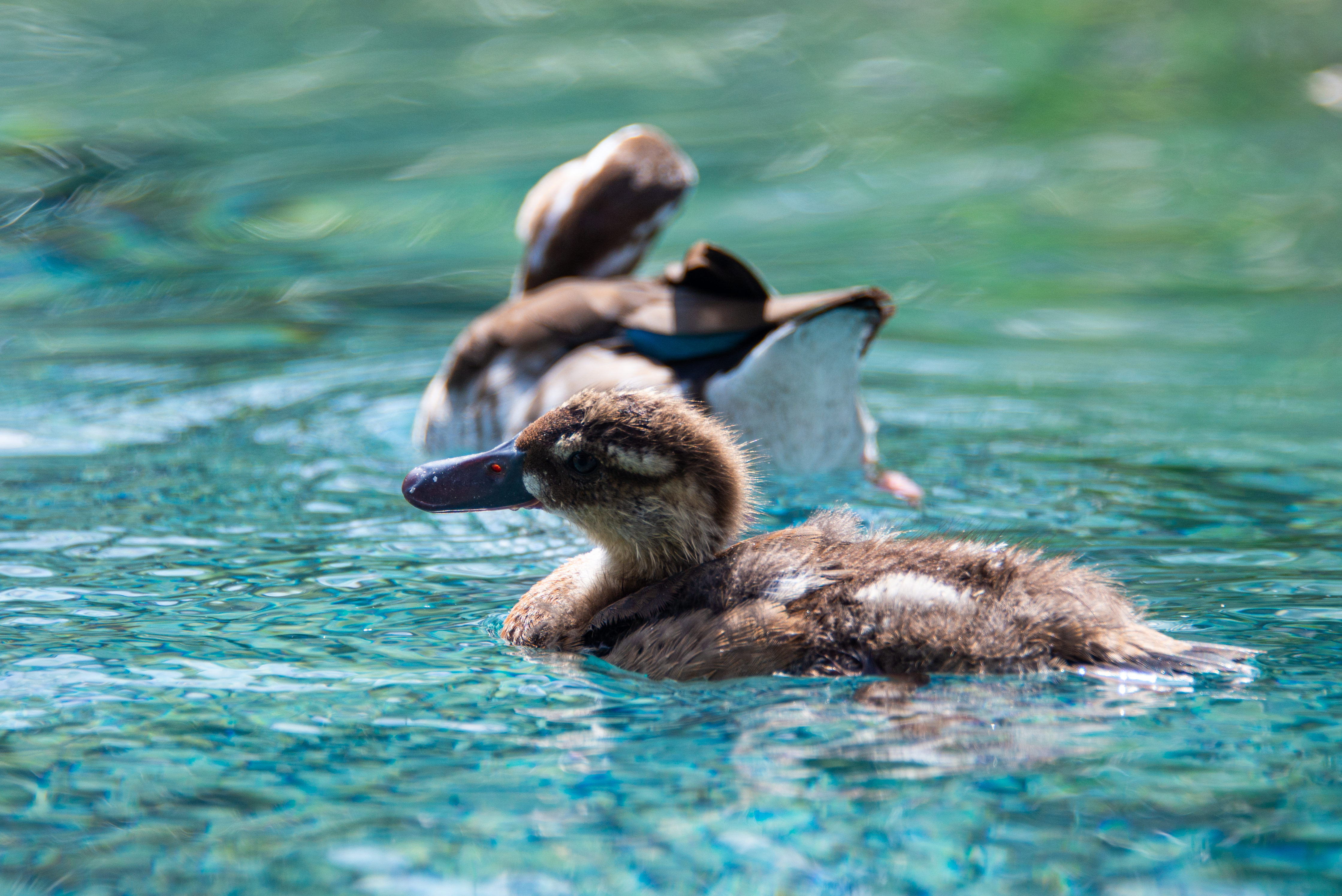 Photo by smithclukas