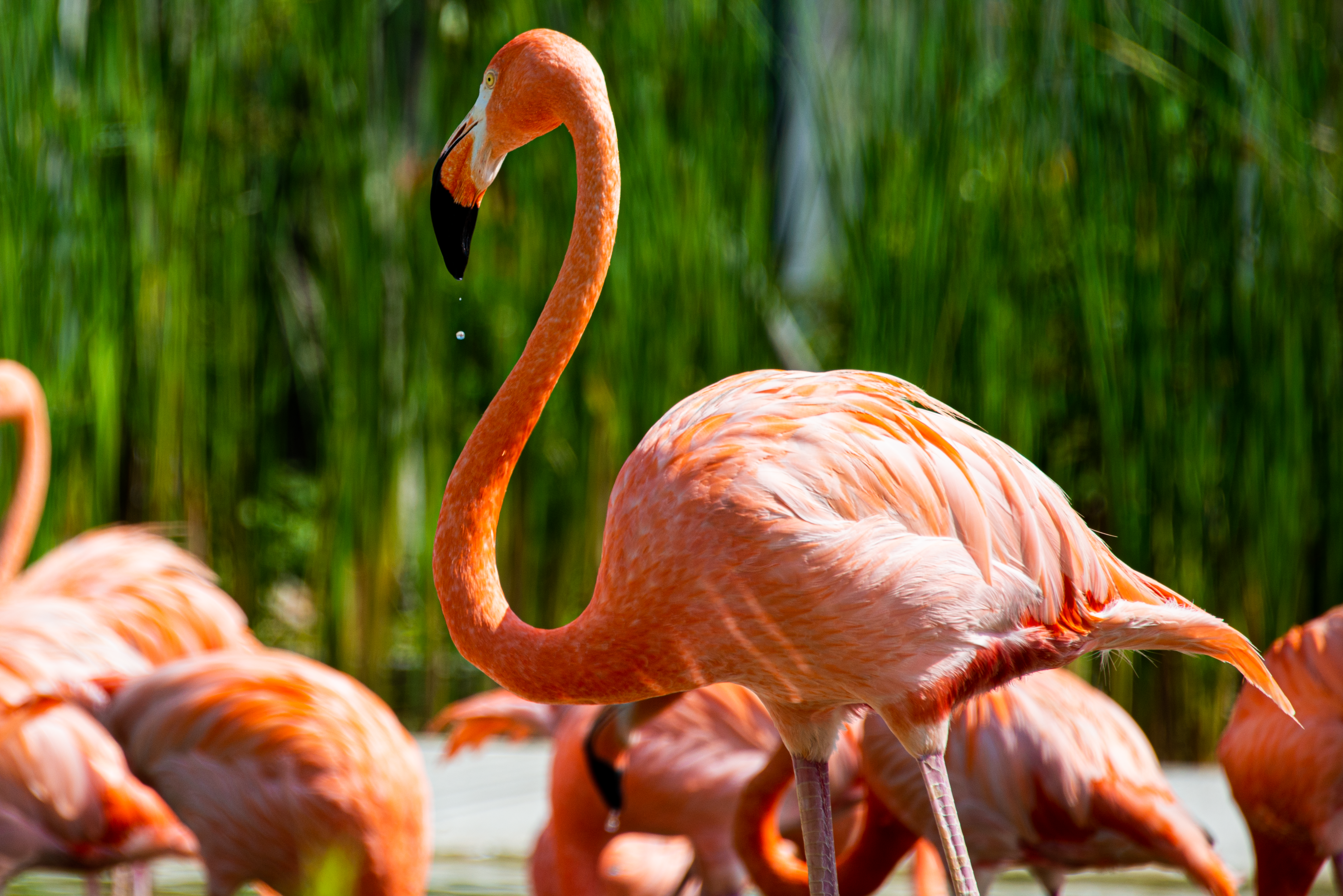 Photo by smithclukas