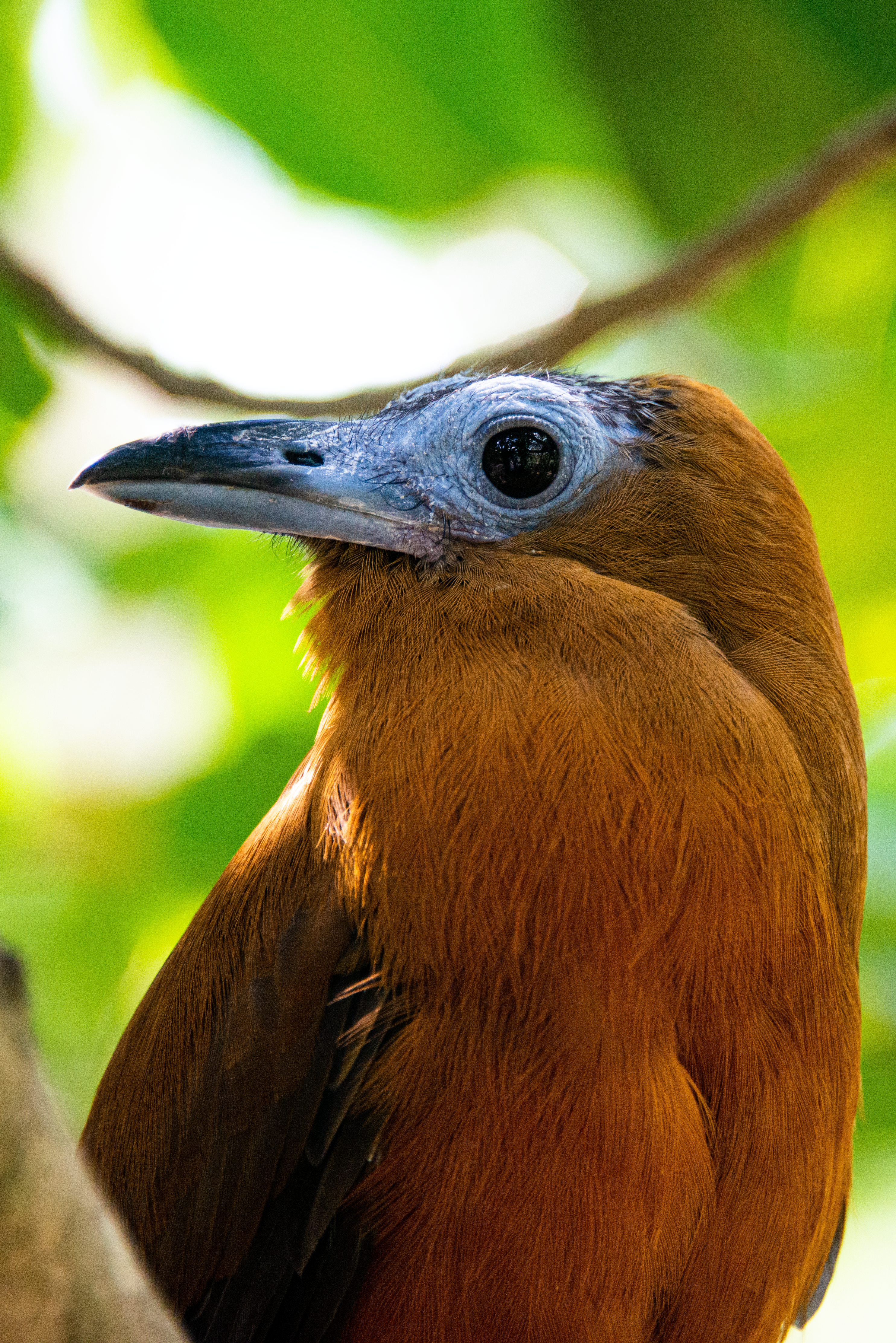 Photo by smithclukas