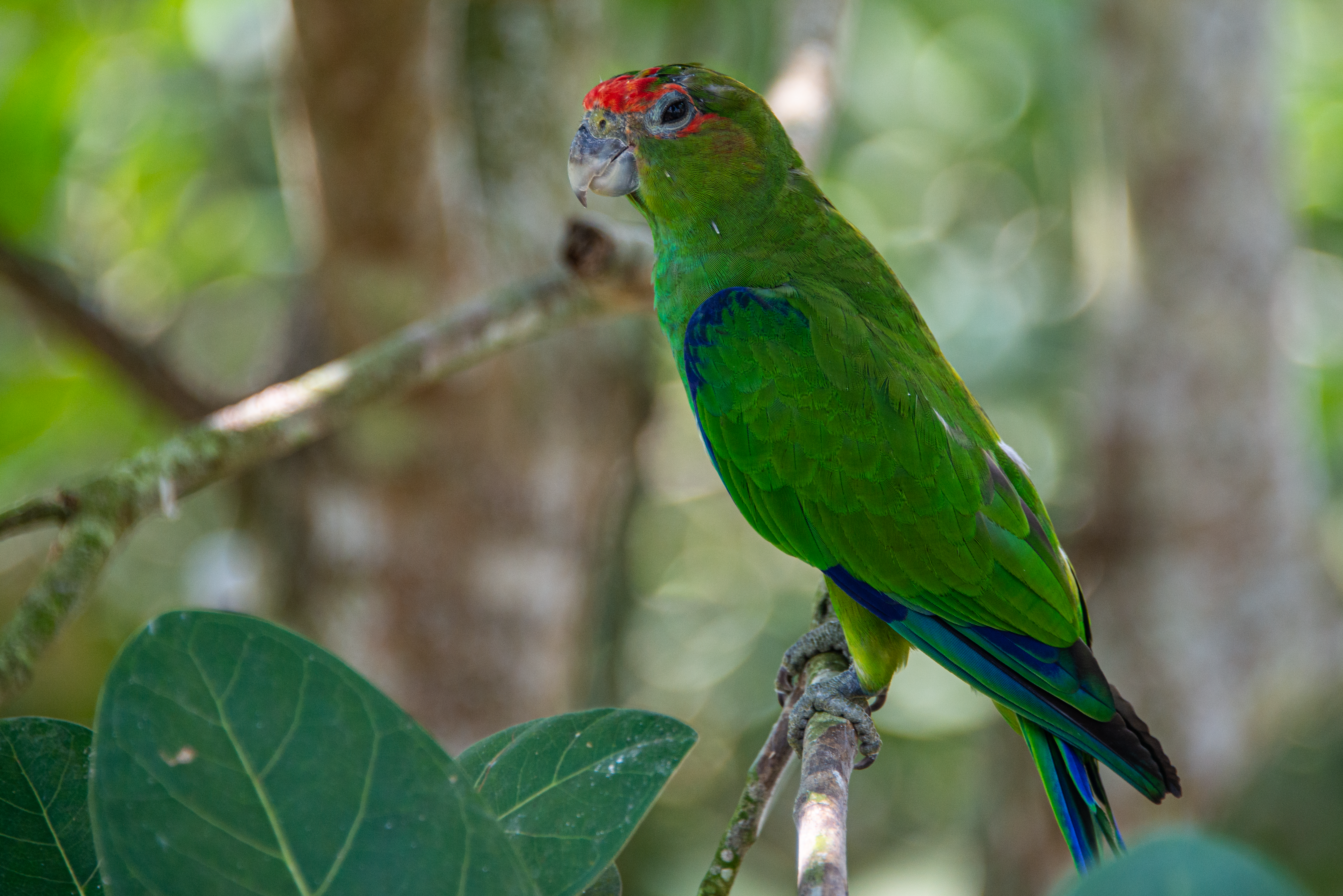 Photo by smithclukas