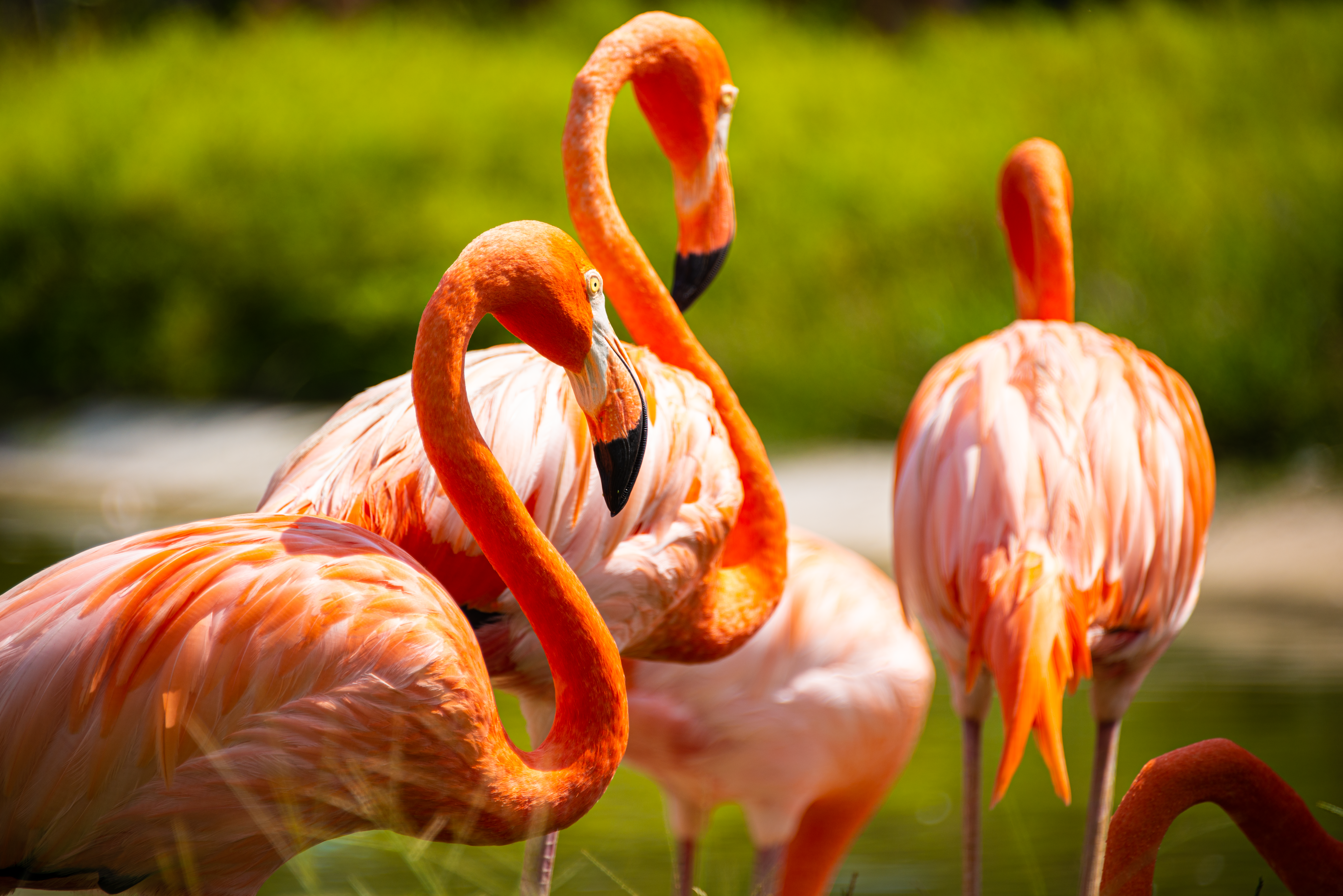 Photo by smithclukas