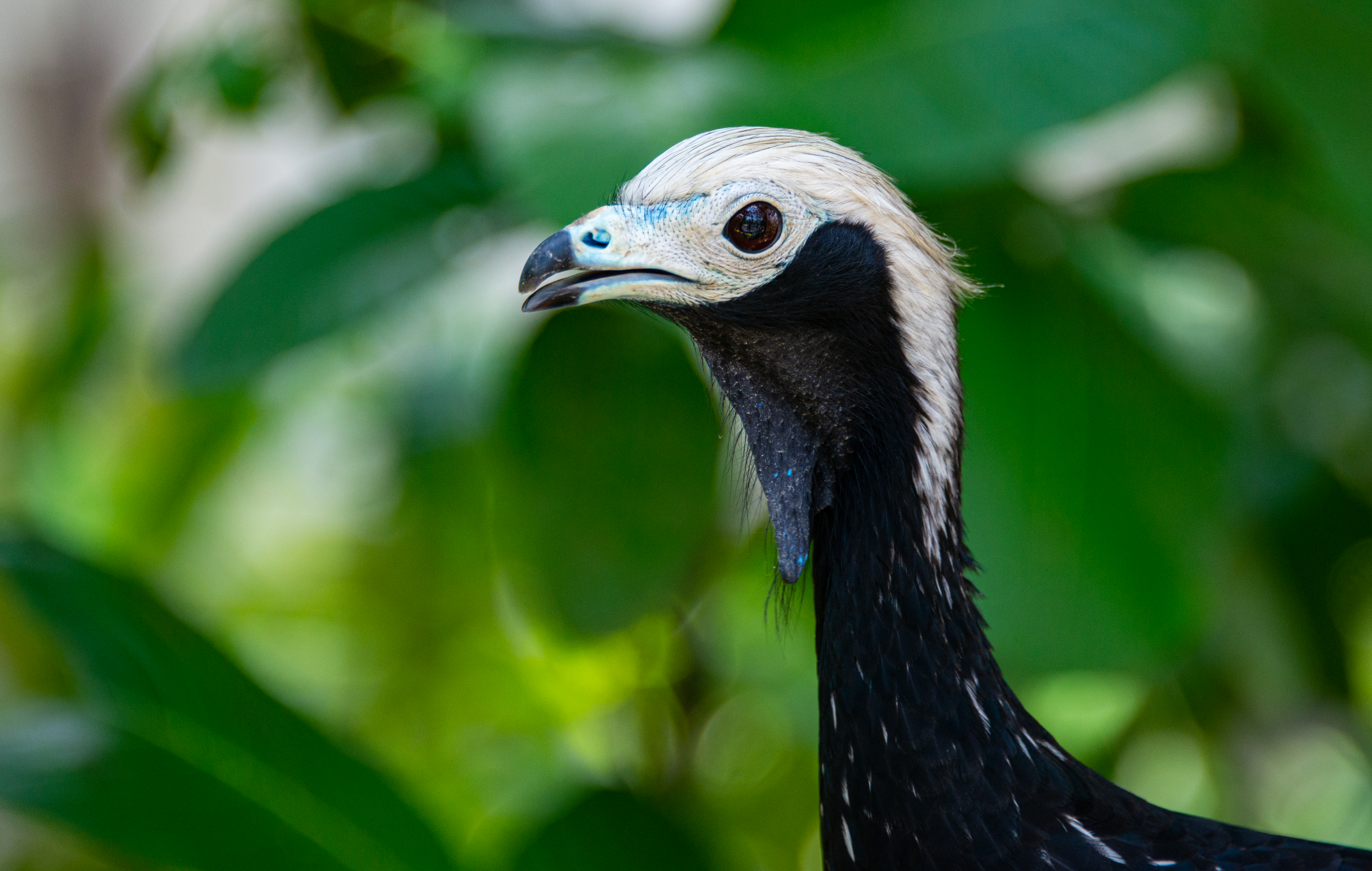 Photo by smithclukas