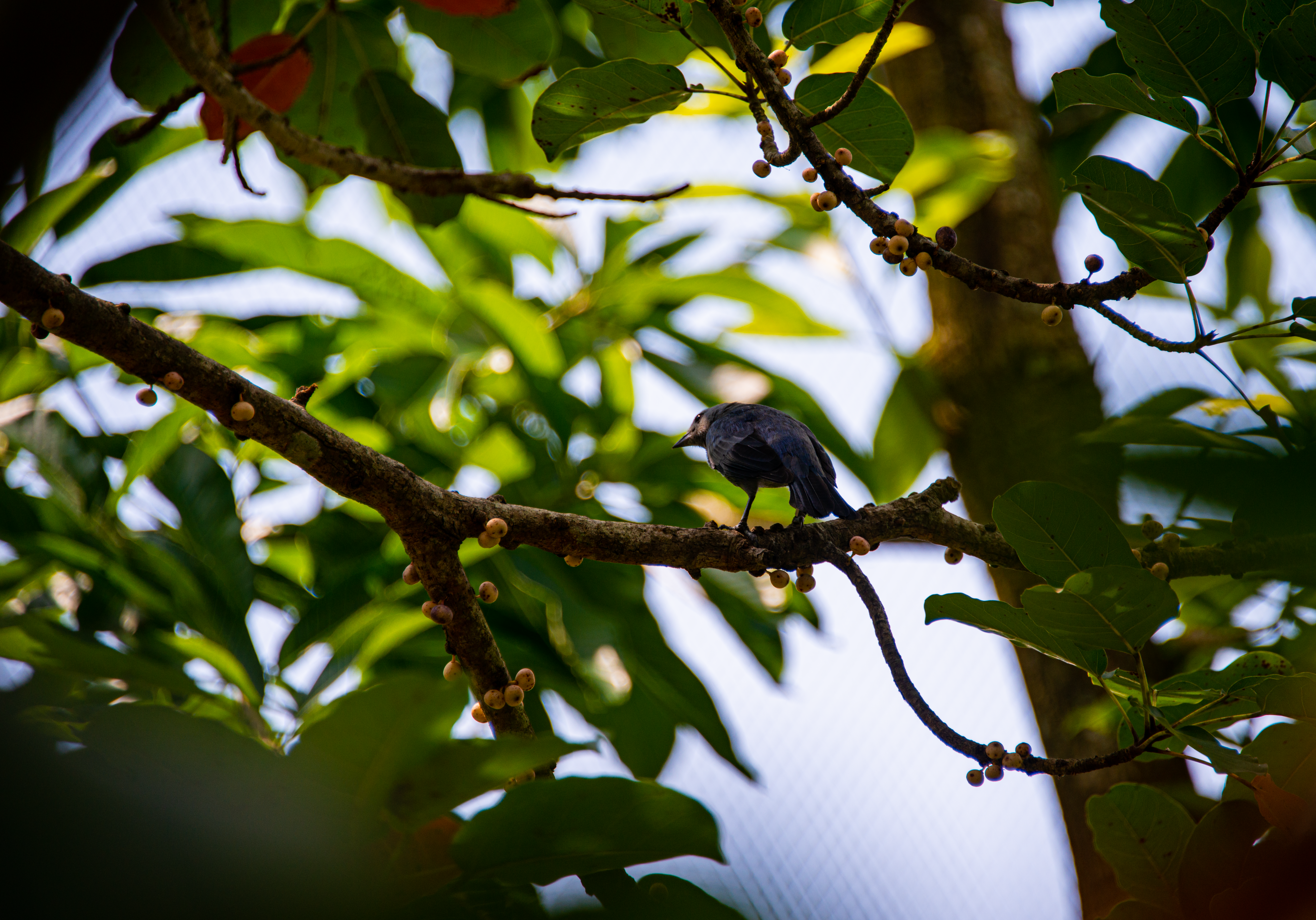 Photo by smithclukas