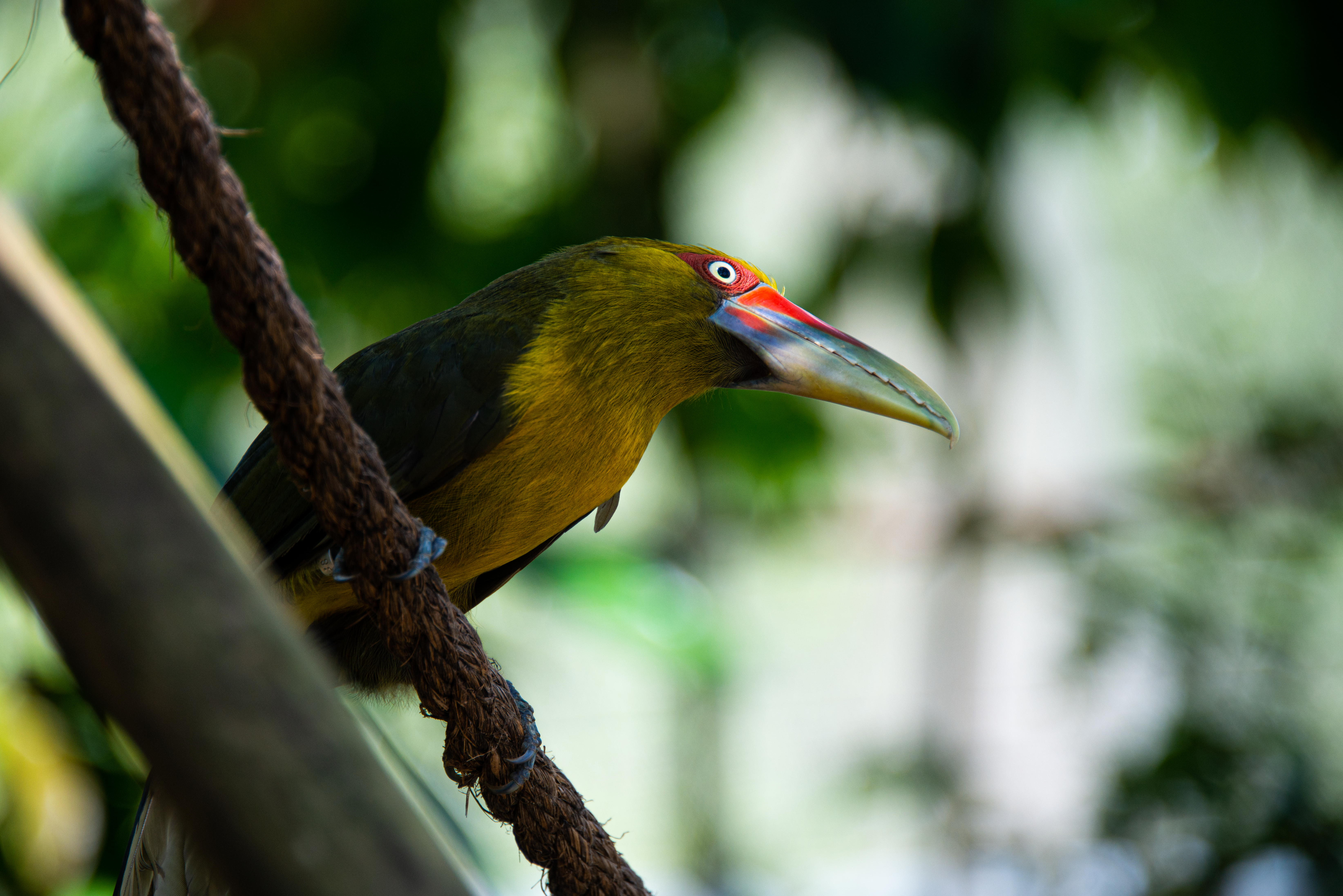 Photo by smithclukas