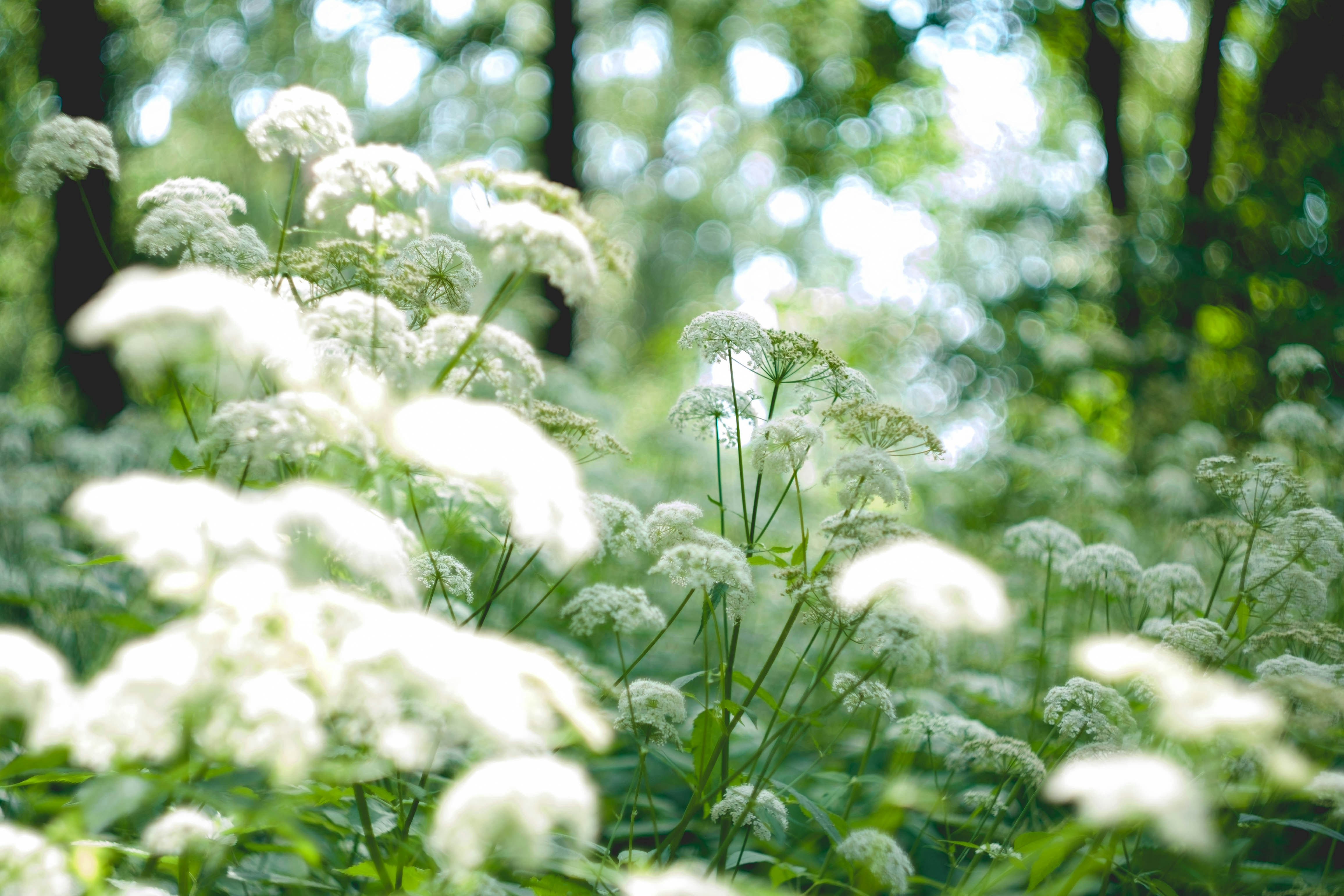 Photo by mirrors_are_more_fun